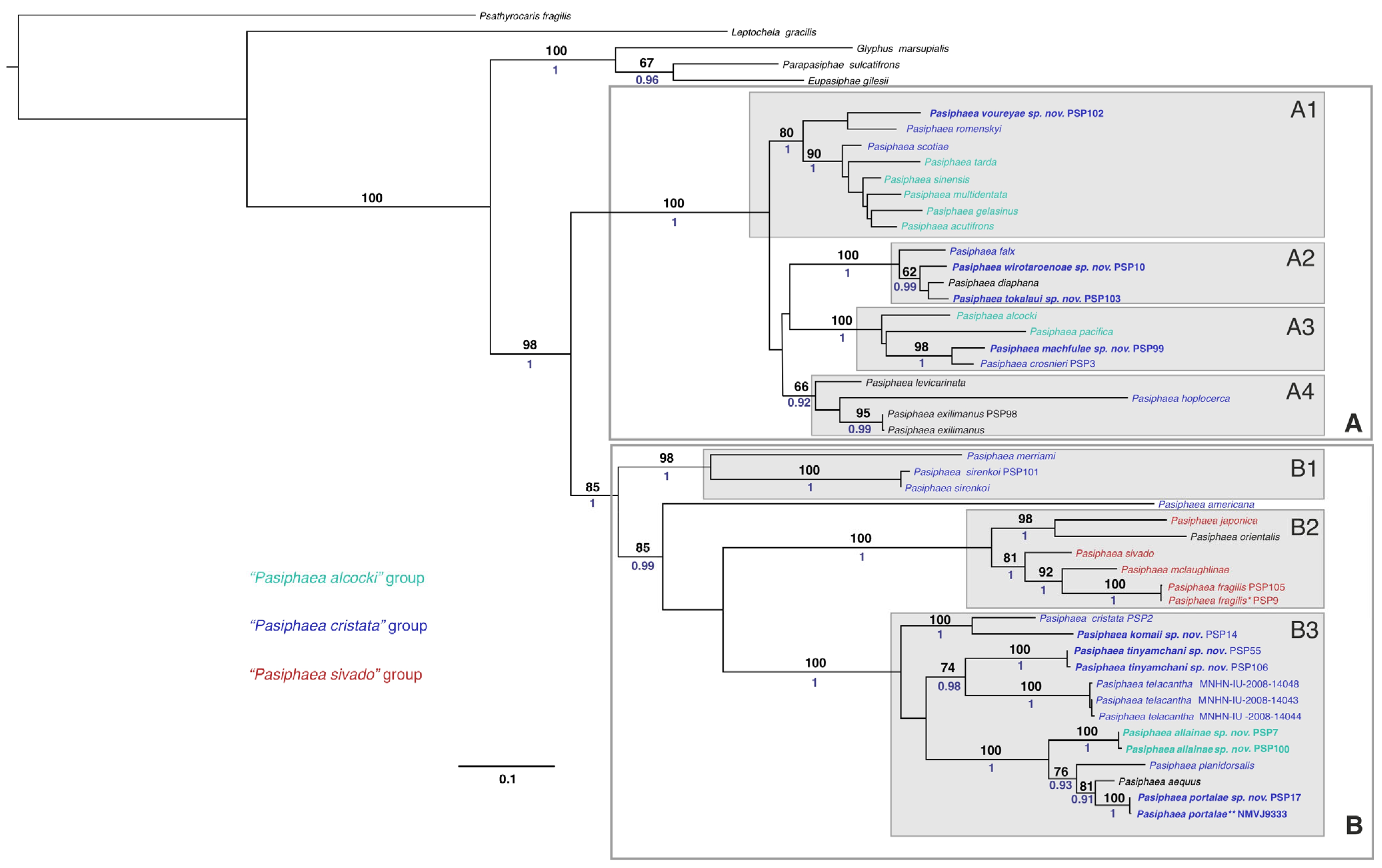 Diversity 17 00656 g039