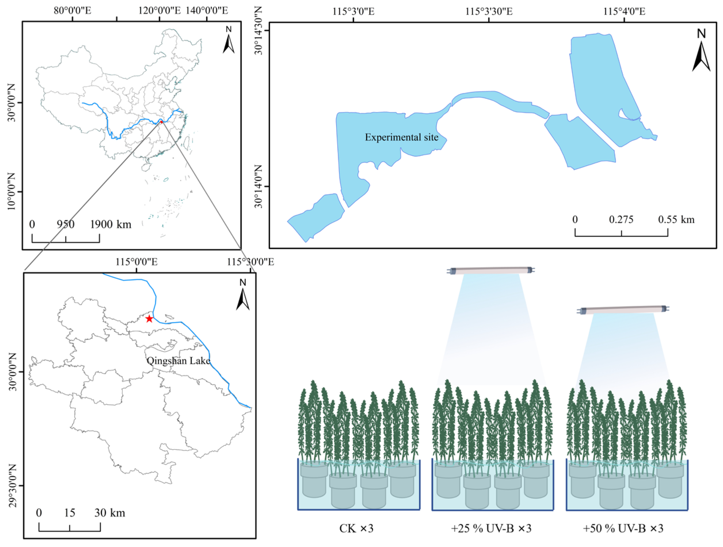 Diversity 17 00661 g001