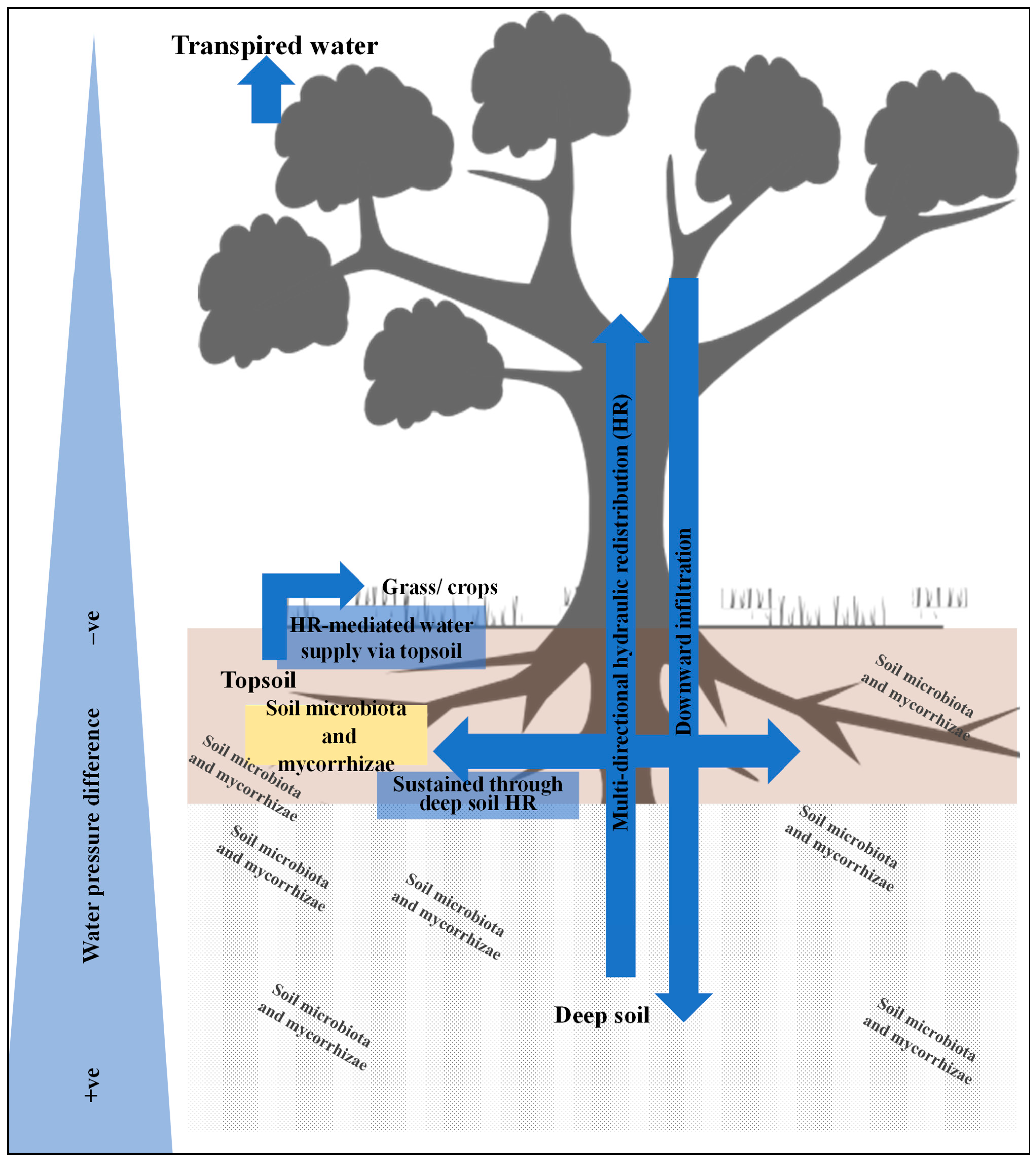 Diversity 17 00662 g001 Diversity 17 00662 g001