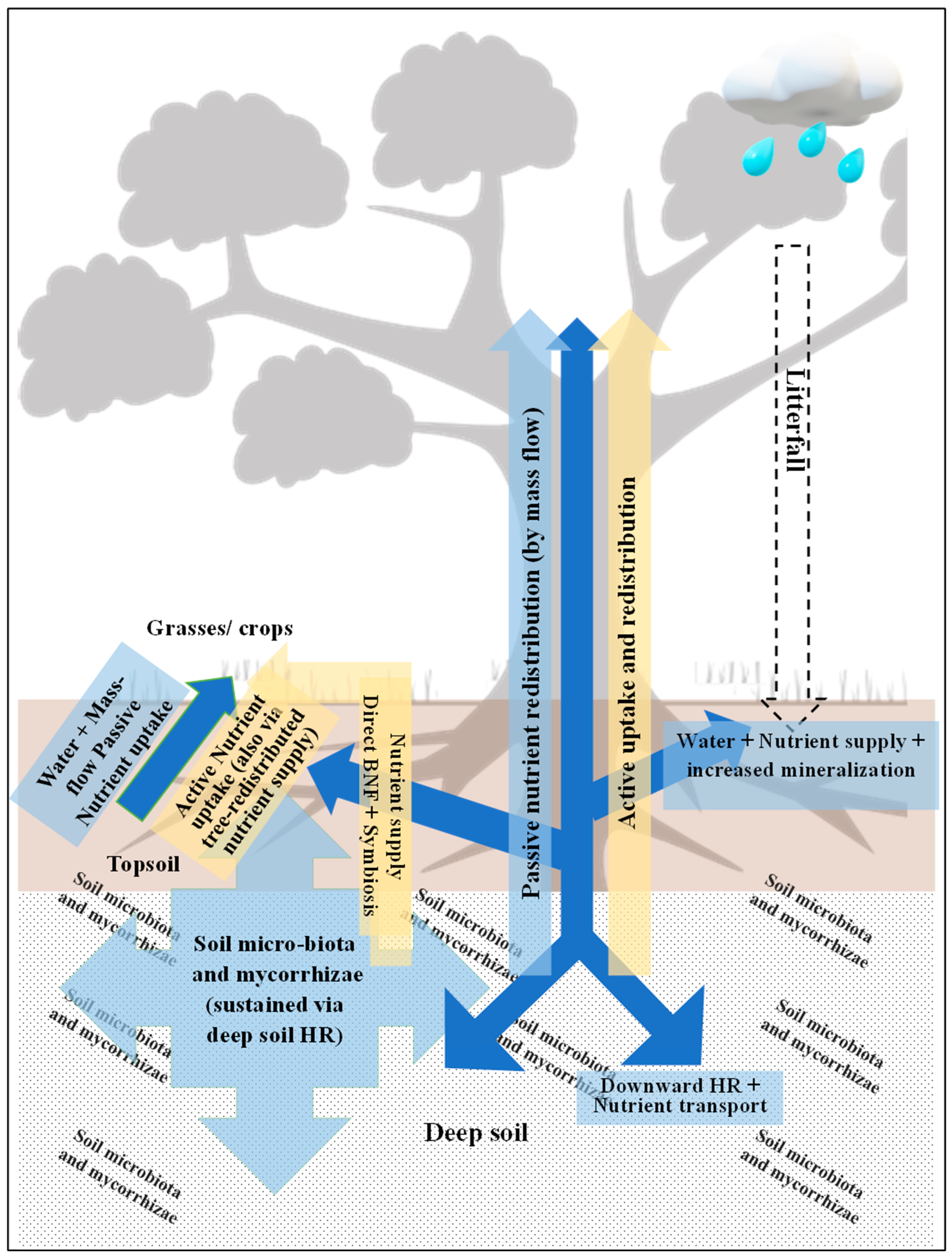 Diversity 17 00662 g002 Diversity 17 00662 g002