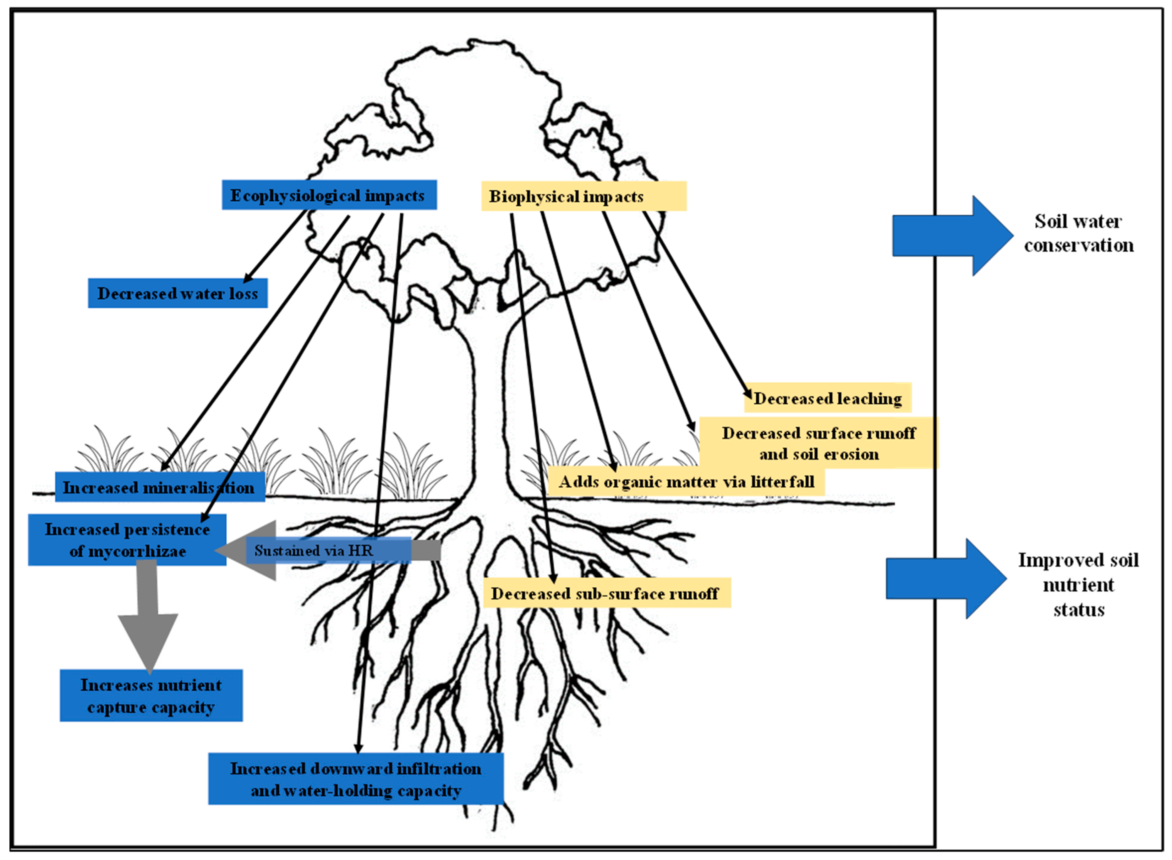 Diversity 17 00662 g003 Diversity 17 00662 g003