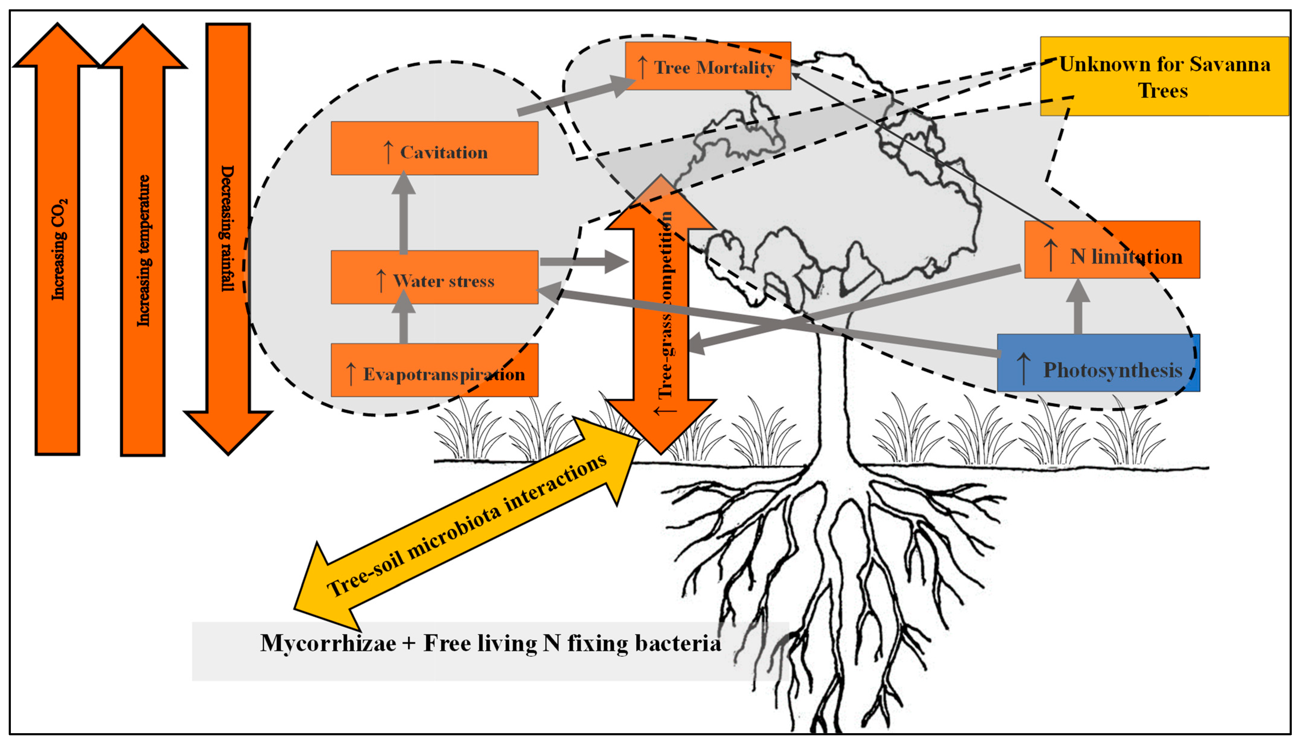 Diversity 17 00662 g004 Diversity 17 00662 g004