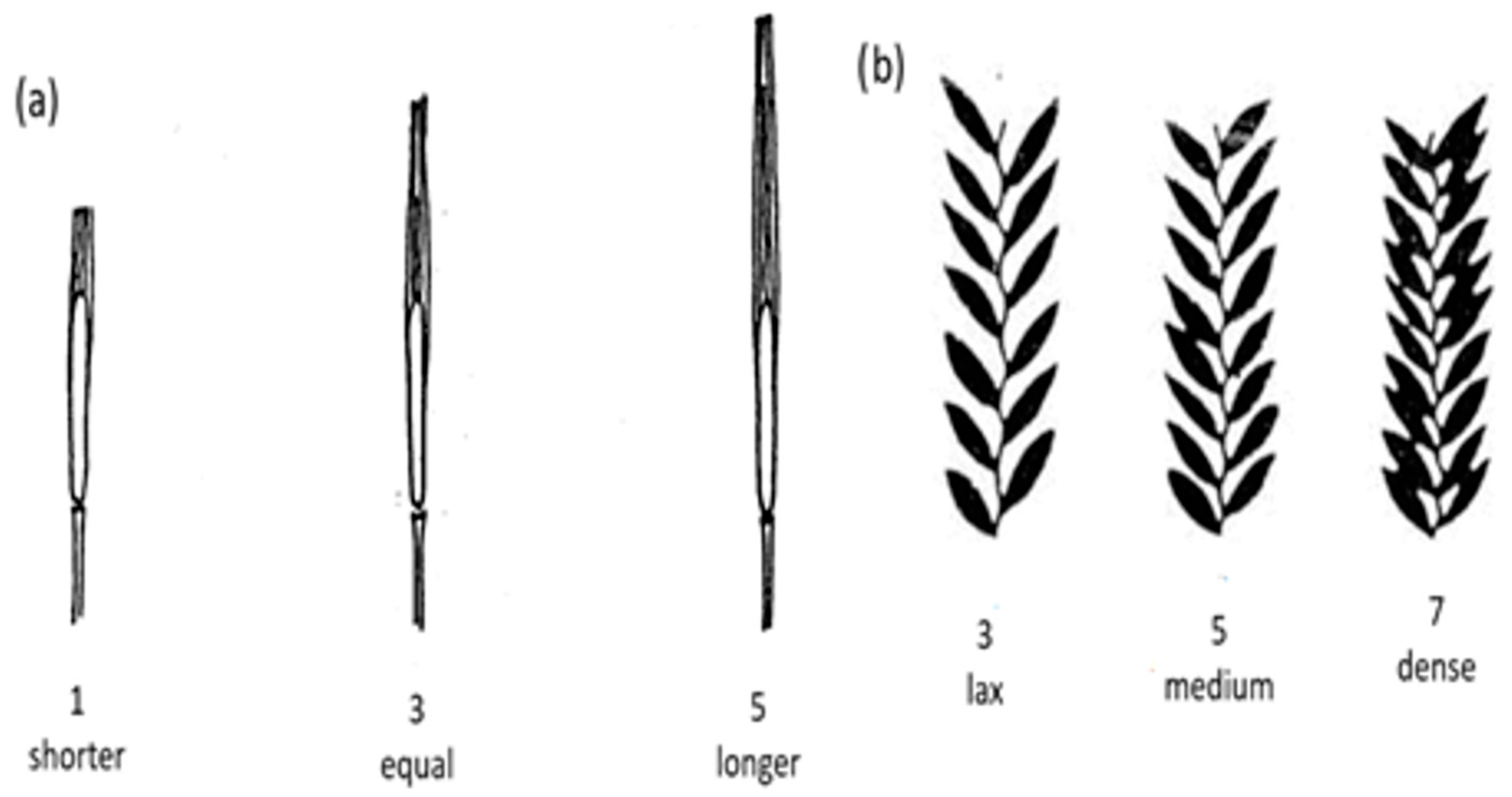 Diversity 17 00663 g002 Diversity 17 00663 g002