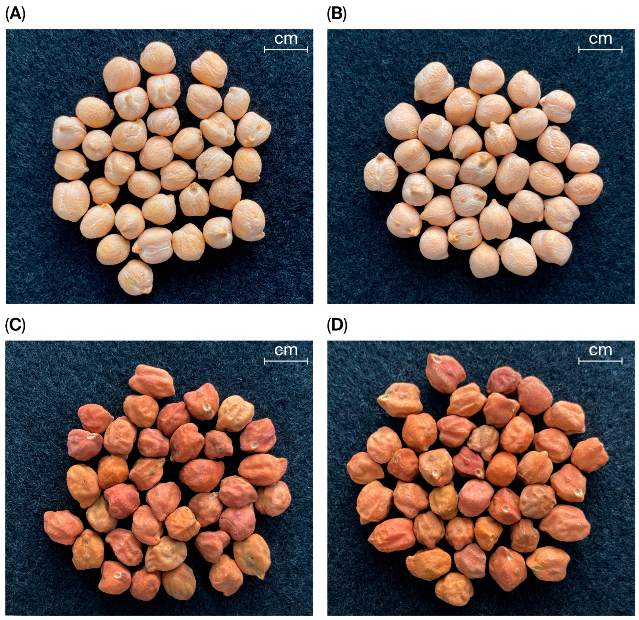 Diversity 17 00664 g001 Diversity 17 00664 g001