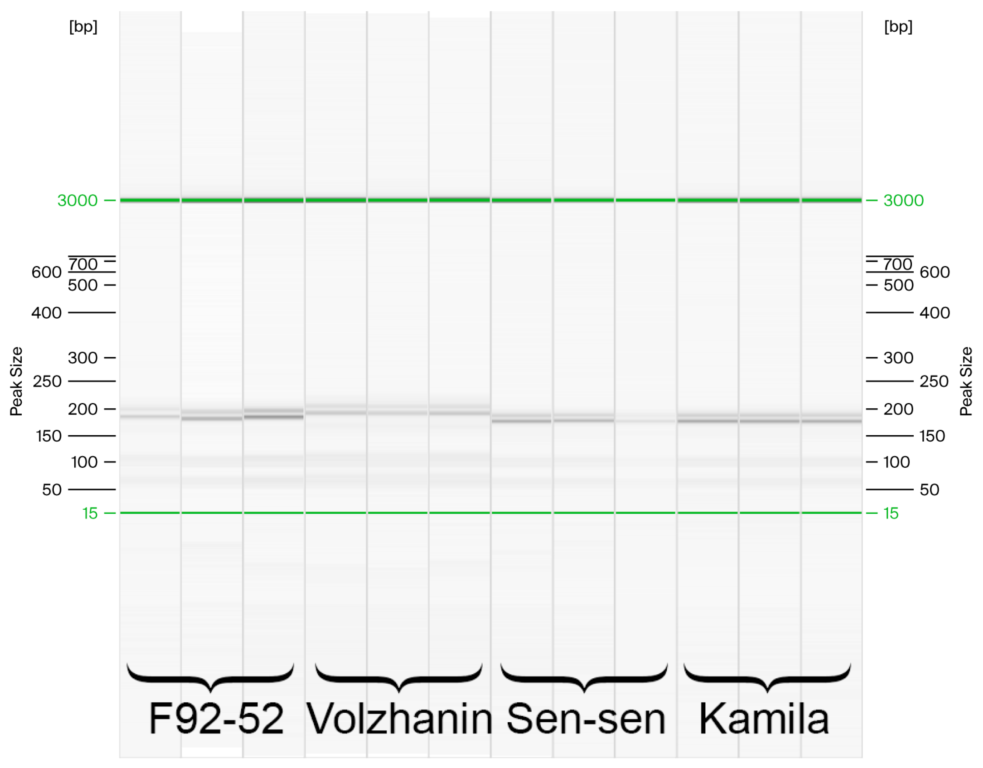 Diversity 17 00664 g004 Diversity 17 00664 g004
