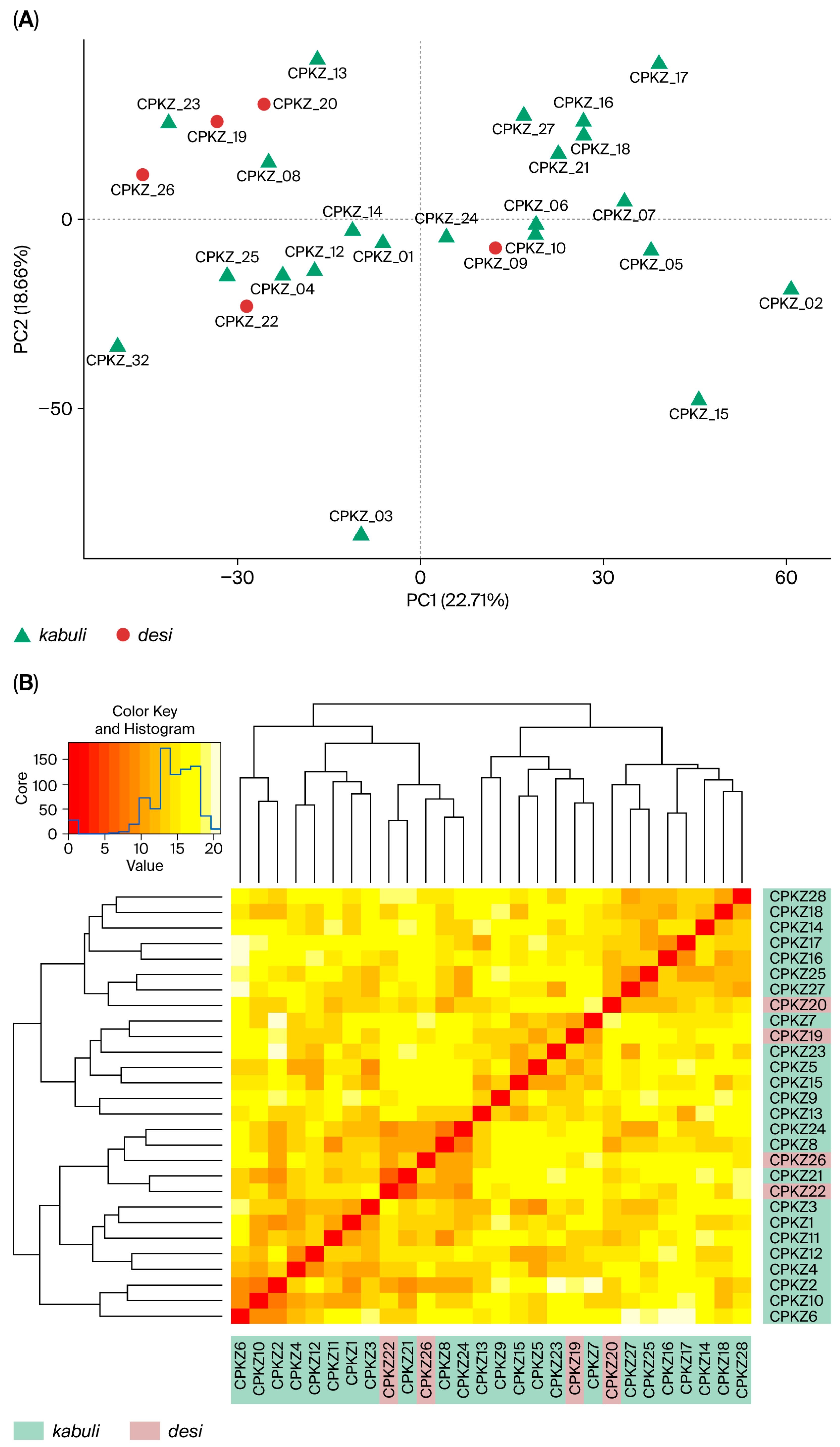 Diversity 17 00664 g006 Diversity 17 00664 g006