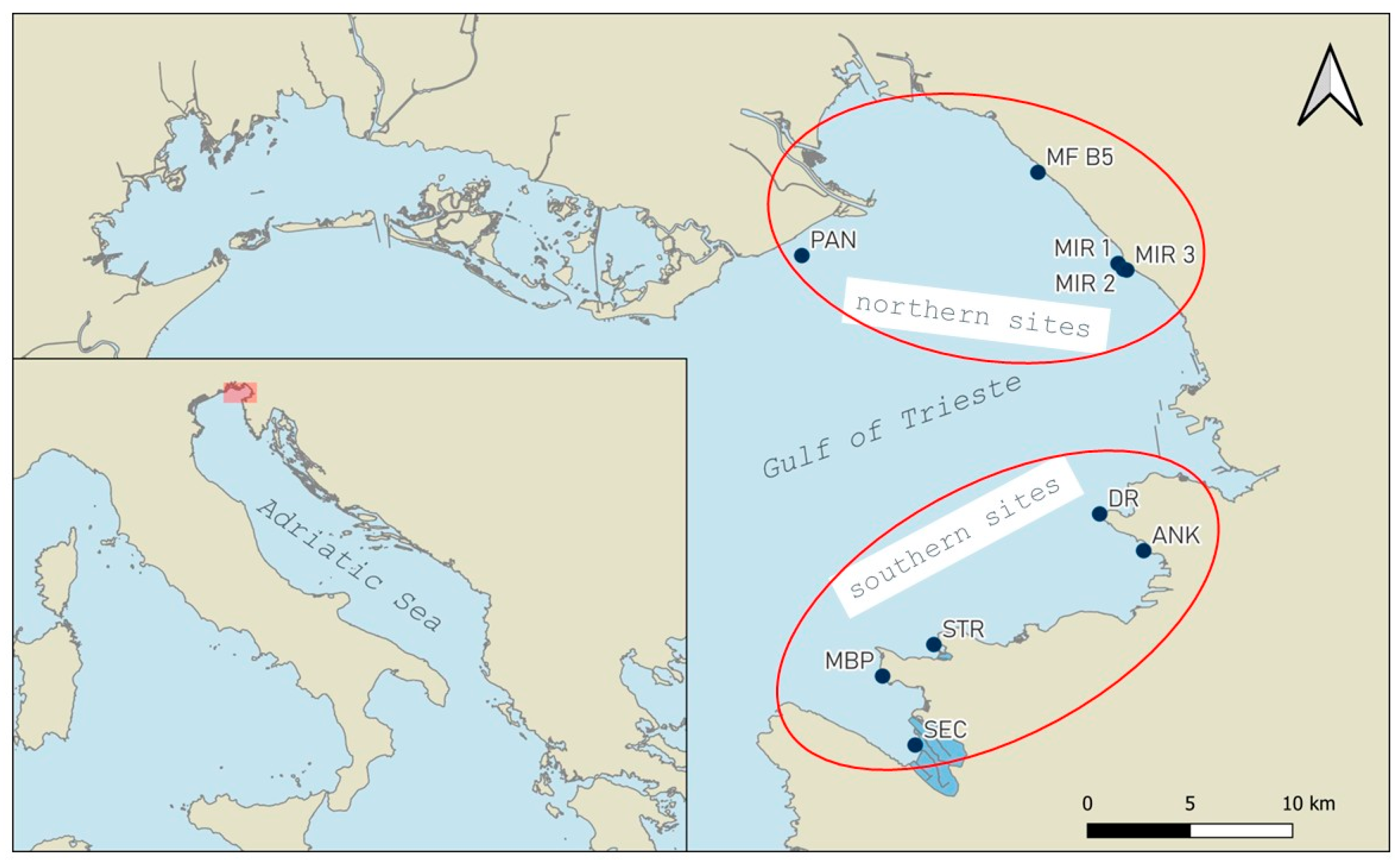 Diversity 17 00666 g001