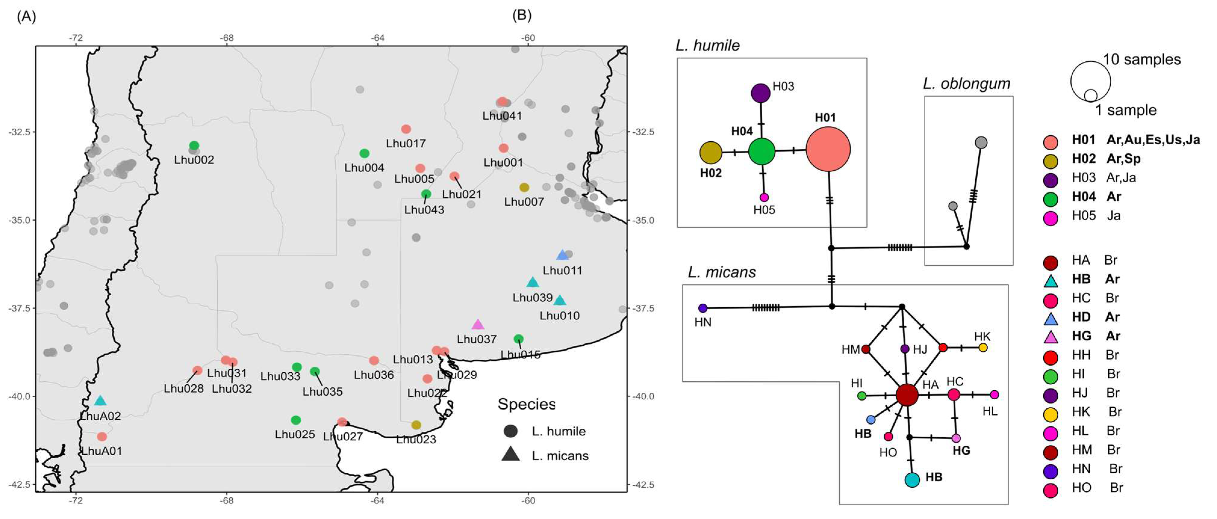 Diversity 17 00667 g005