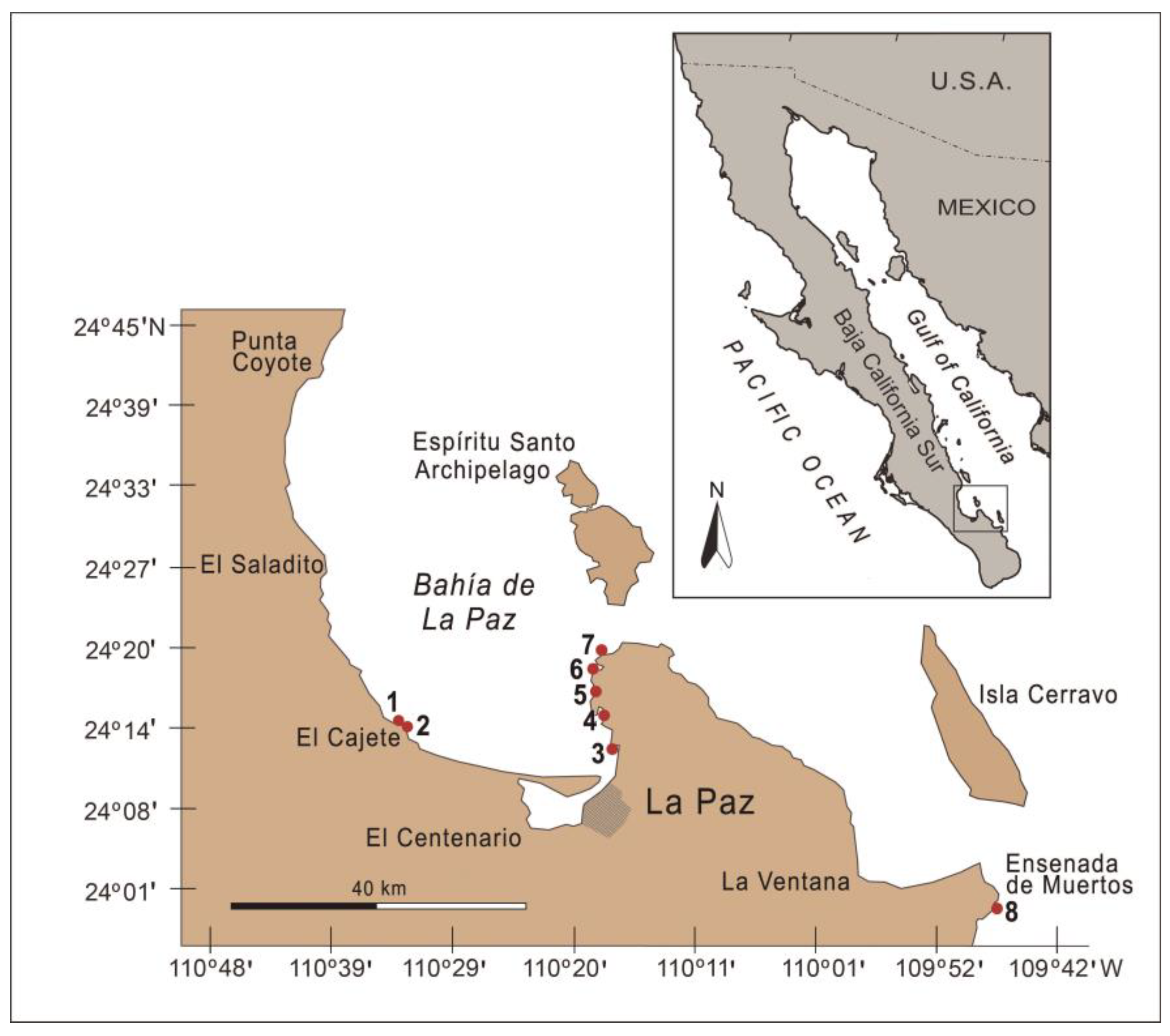 Diversity 17 00674 g001