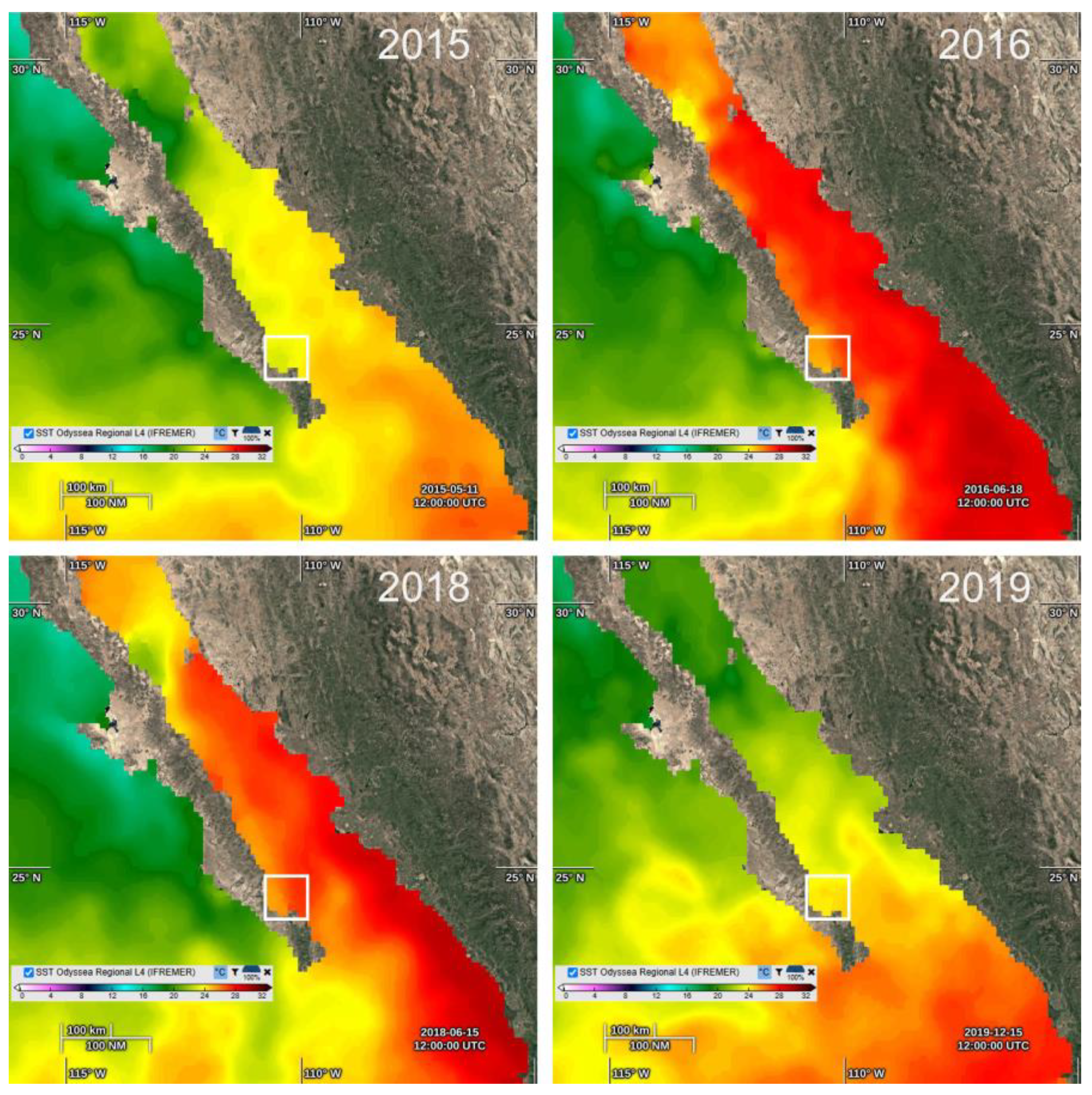 Diversity 17 00674 g002