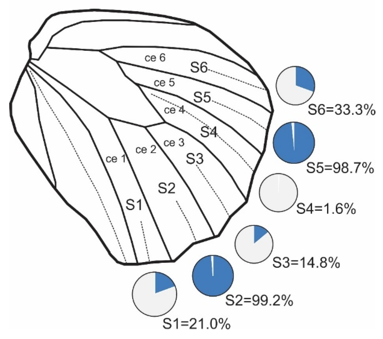 Diversity 17 00675 g002