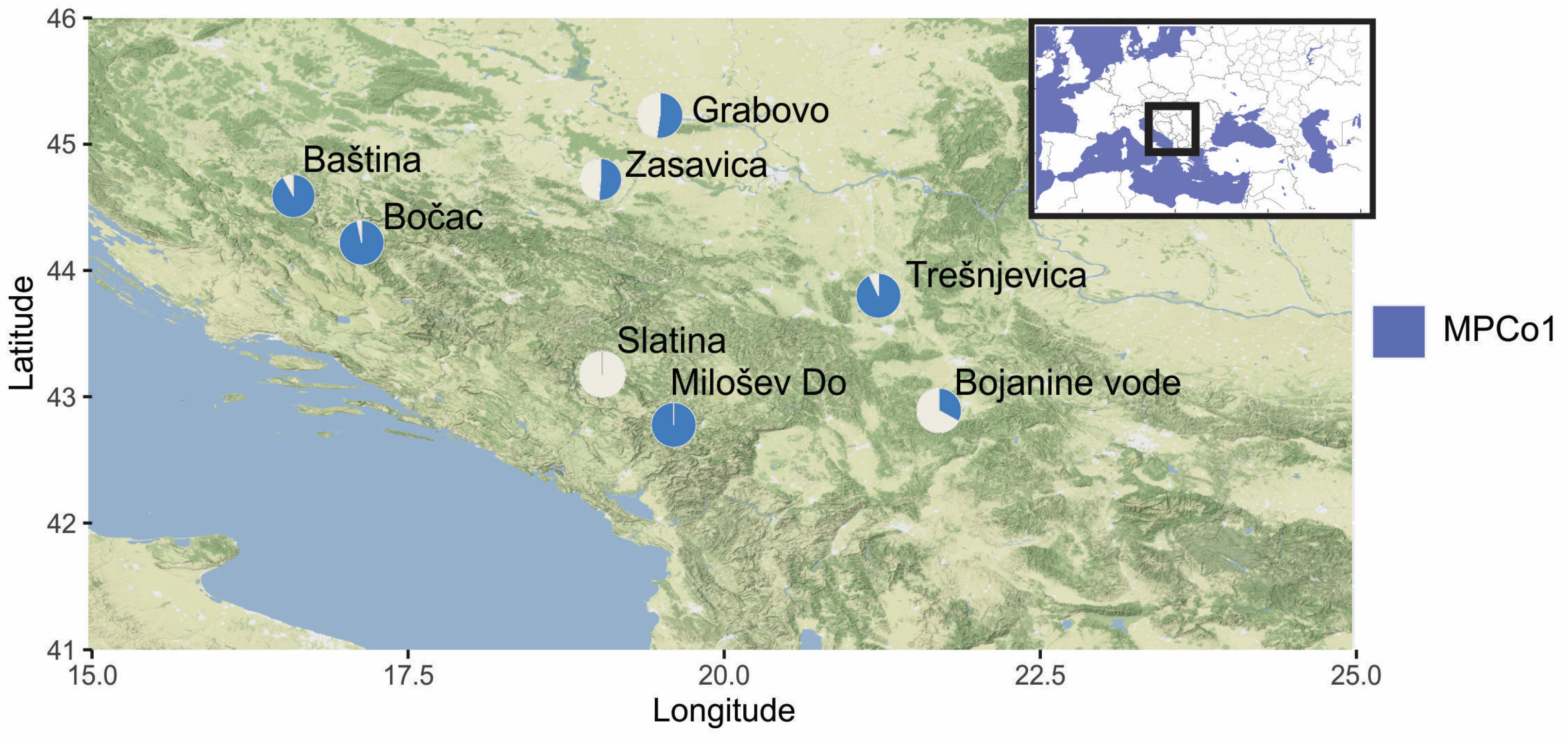 Diversity 17 00675 g006