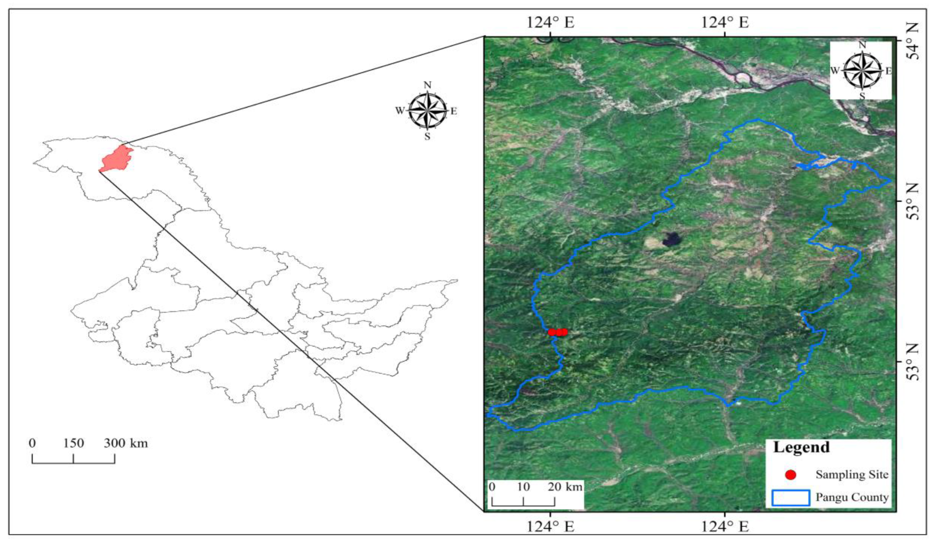 Diversity 17 00677 g001