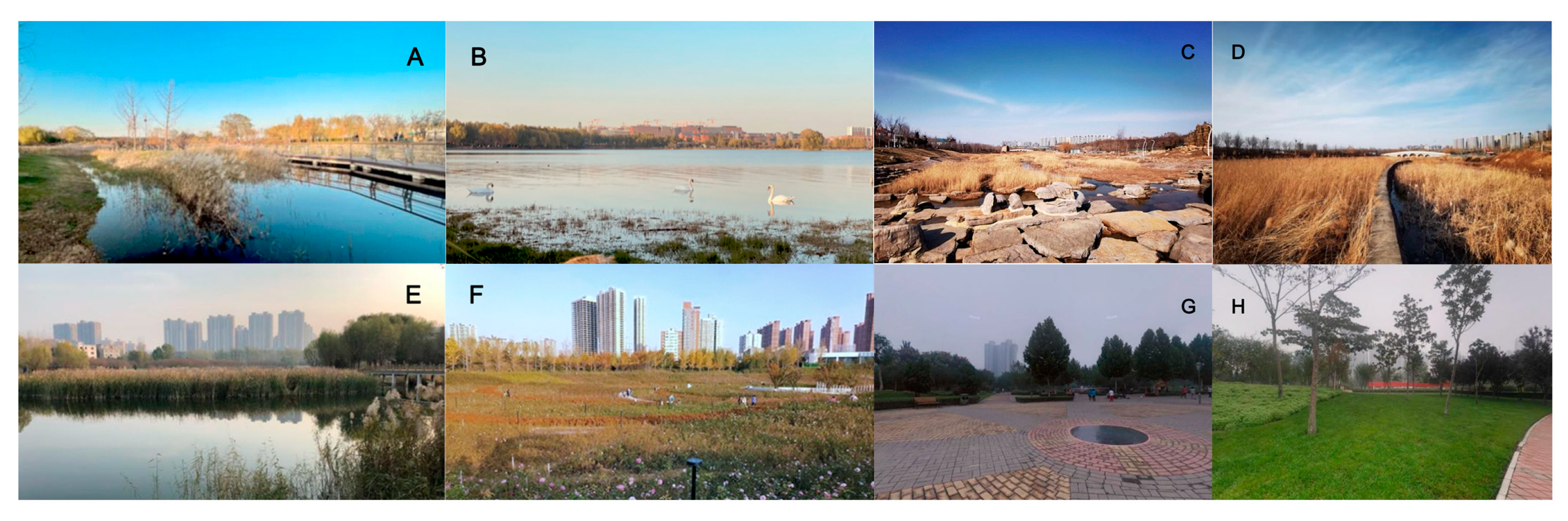 Diversity 17 00678 g005