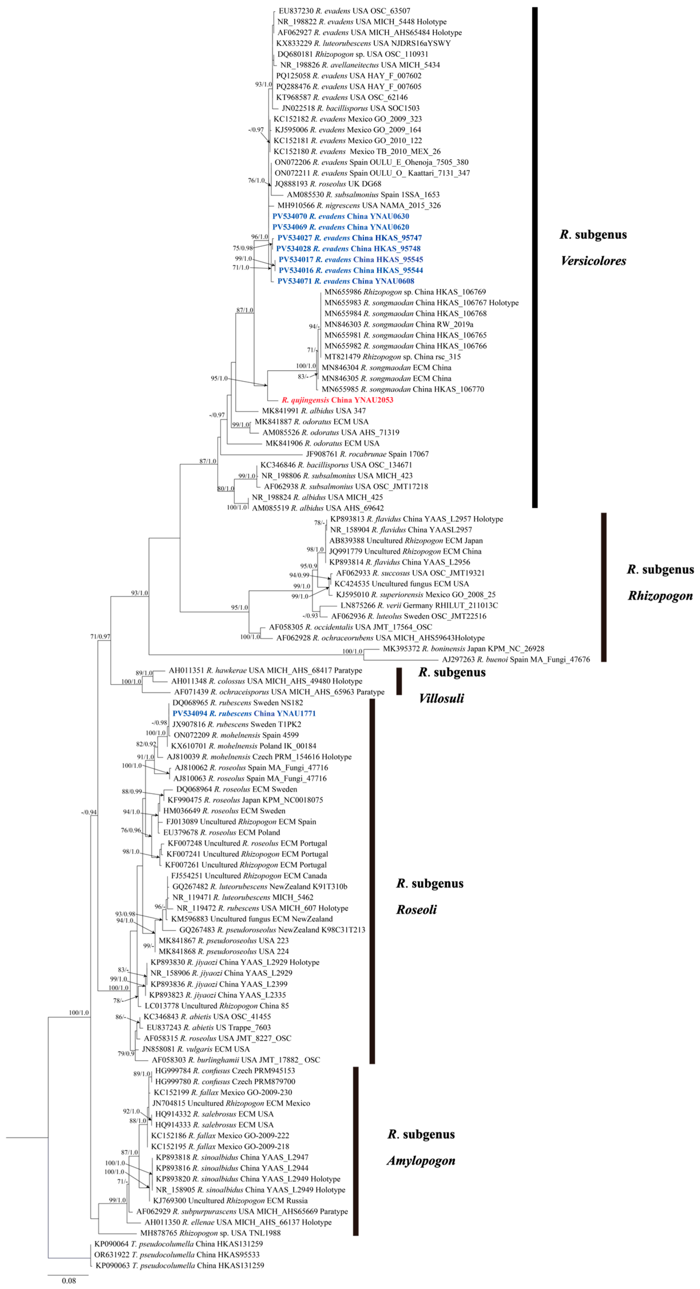 Diversity 17 00683 g001 Diversity 17 00683 g001