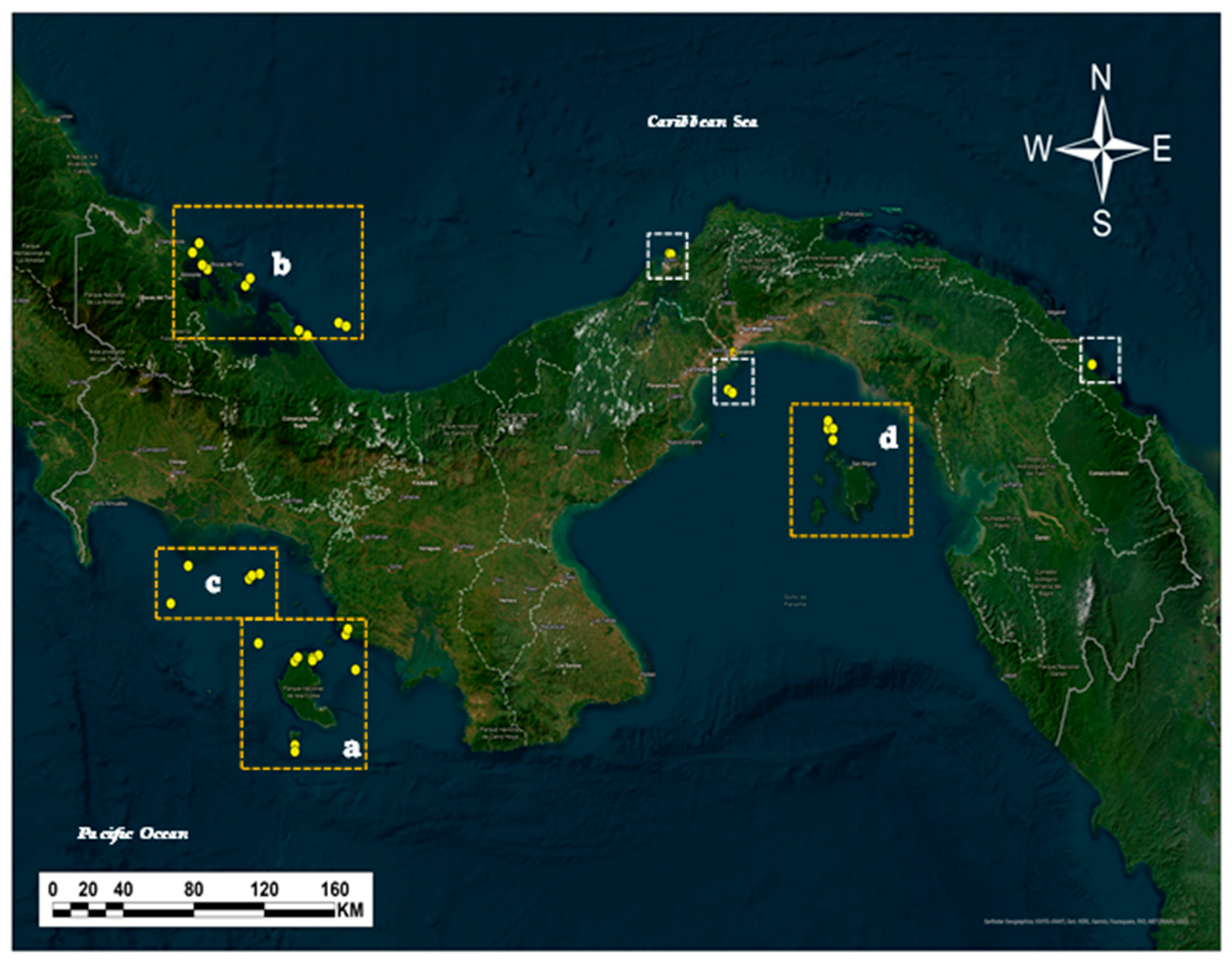 Diversity 17 00700 g003 Diversity 17 00700 g003