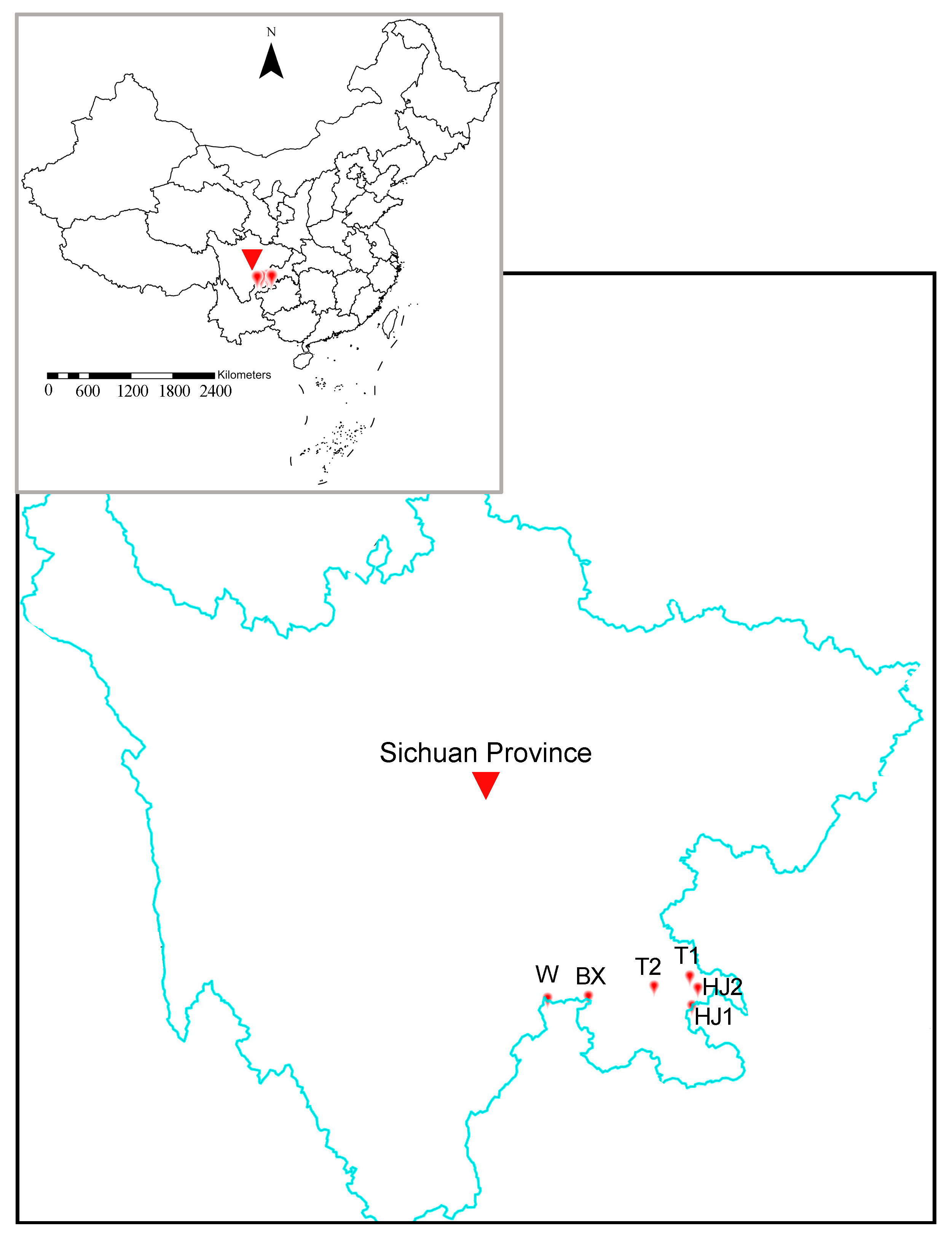 Diversity 17 00704 g002