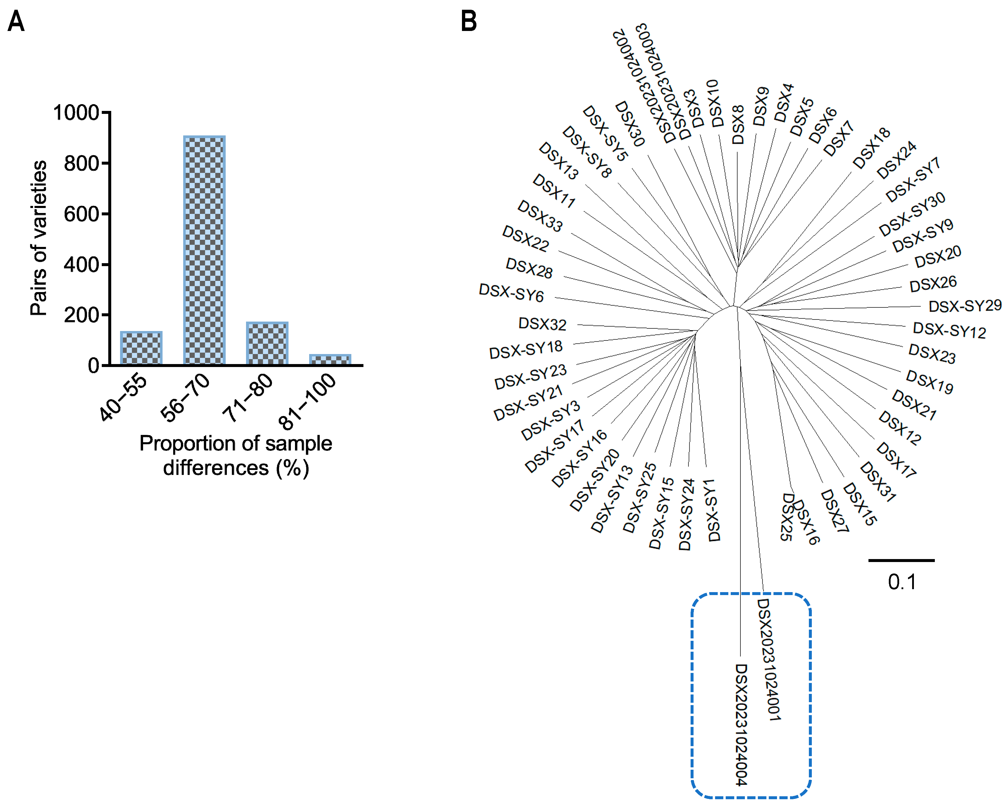 Diversity 17 00704 g005a