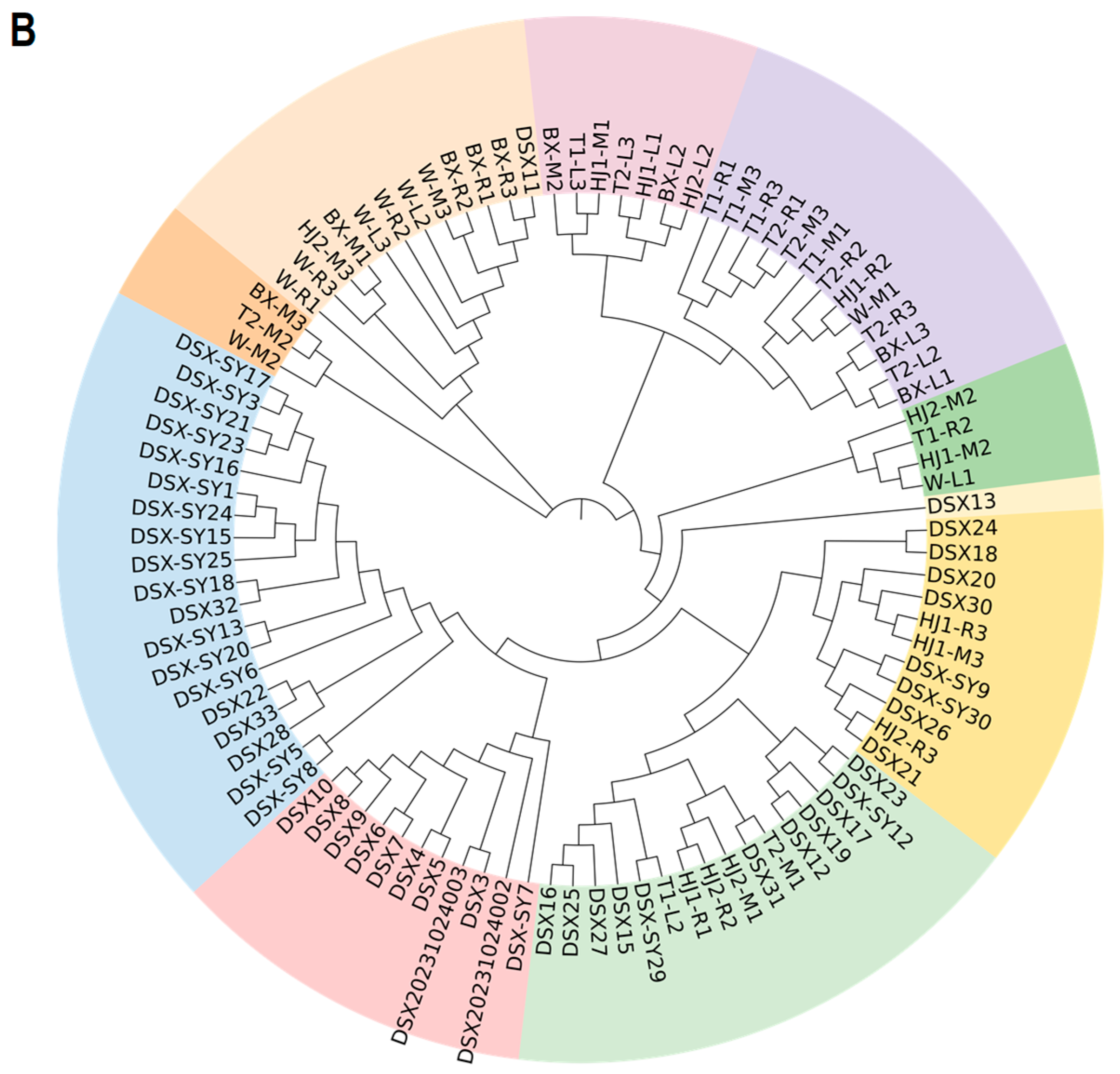 Diversity 17 00704 g008b