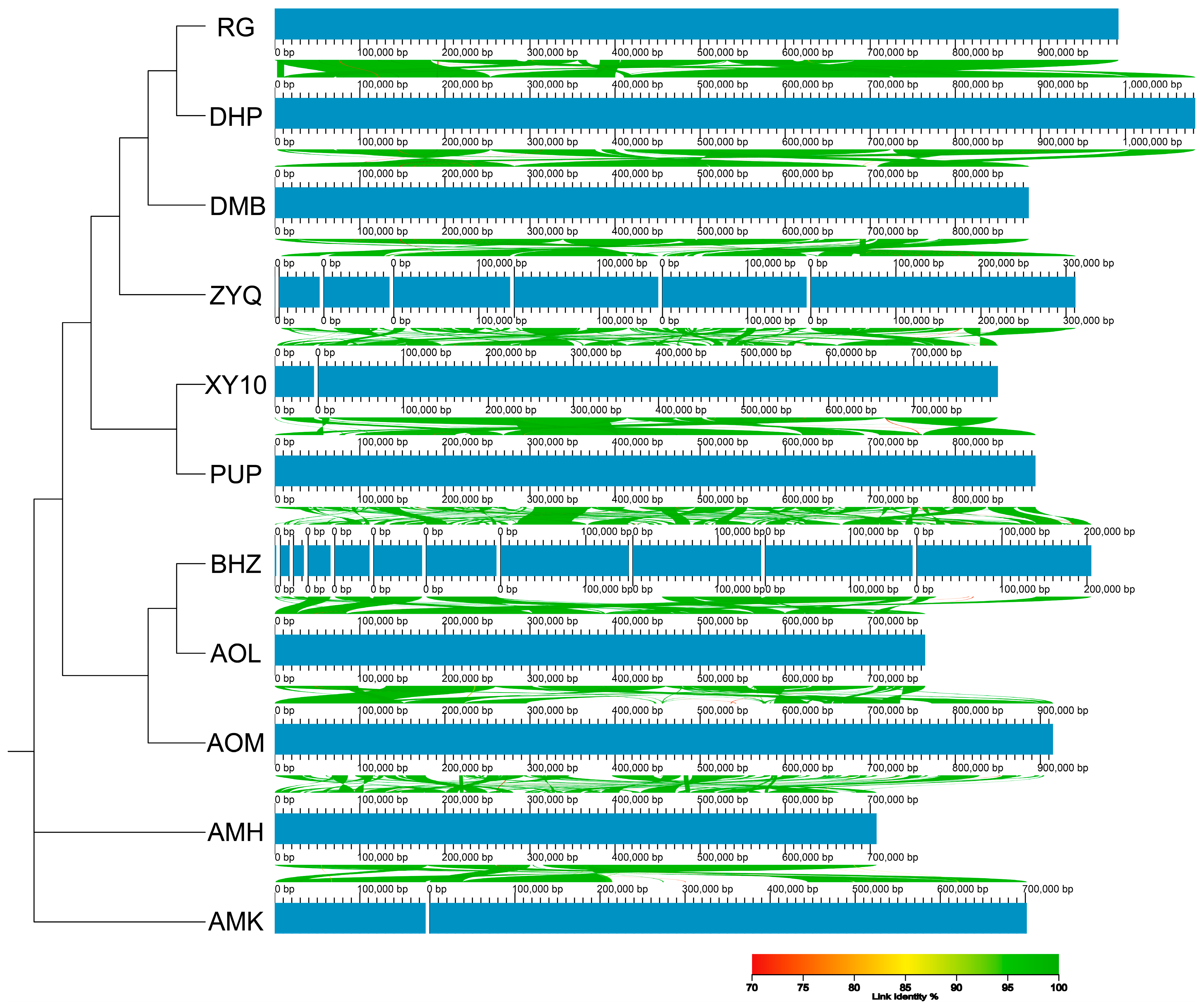 Diversity 17 00705 g002