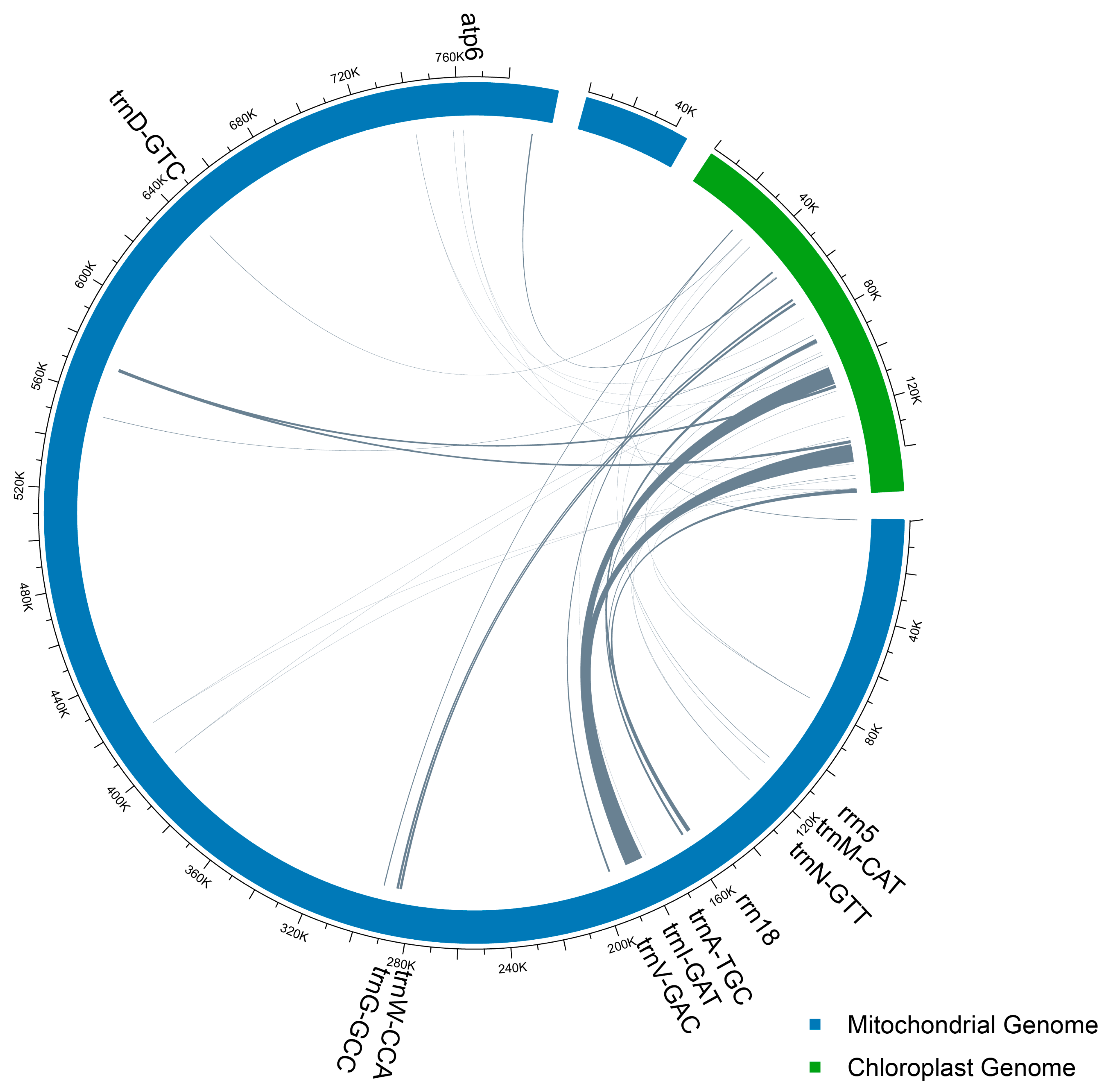 Diversity 17 00705 g004