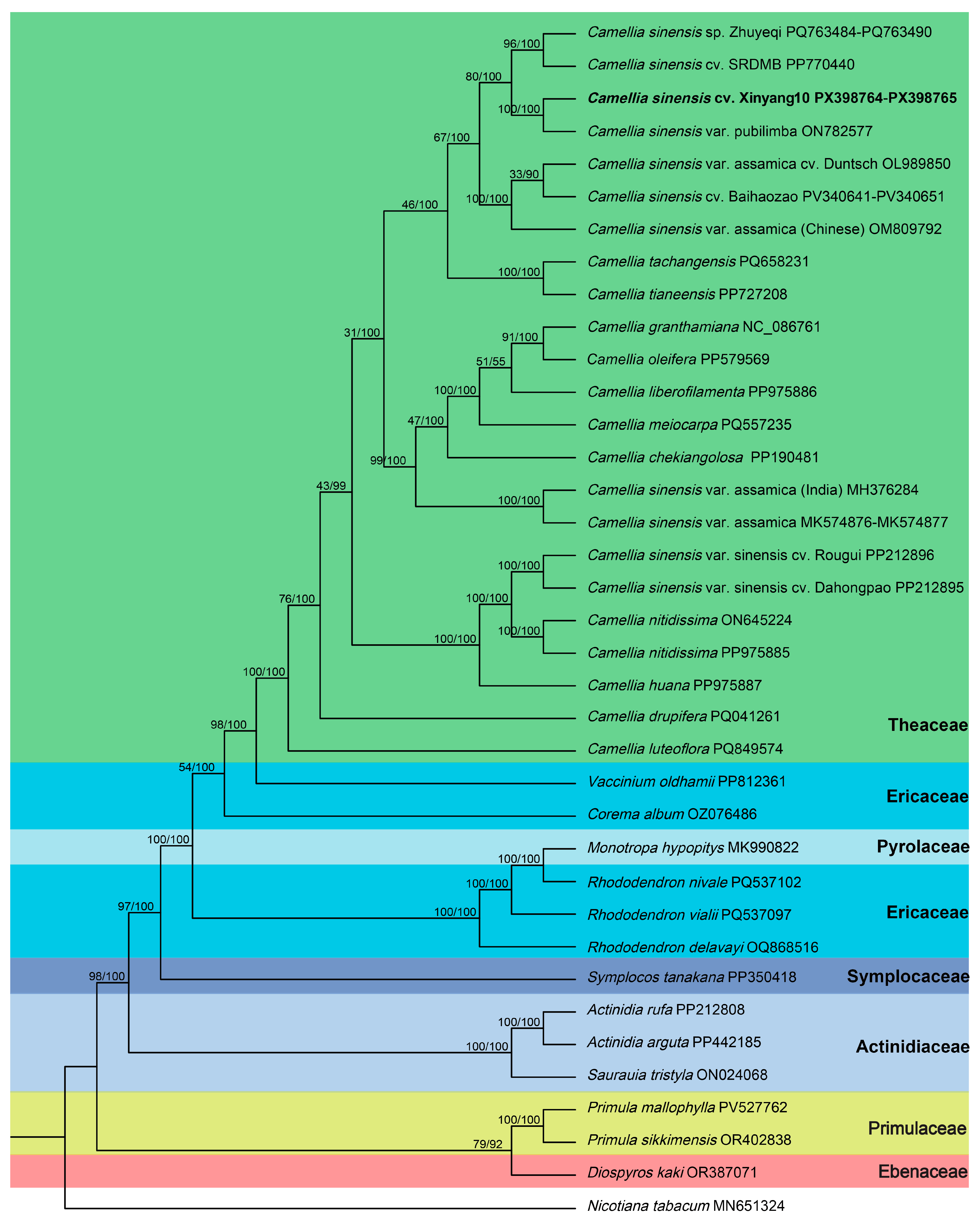 Diversity 17 00705 g008