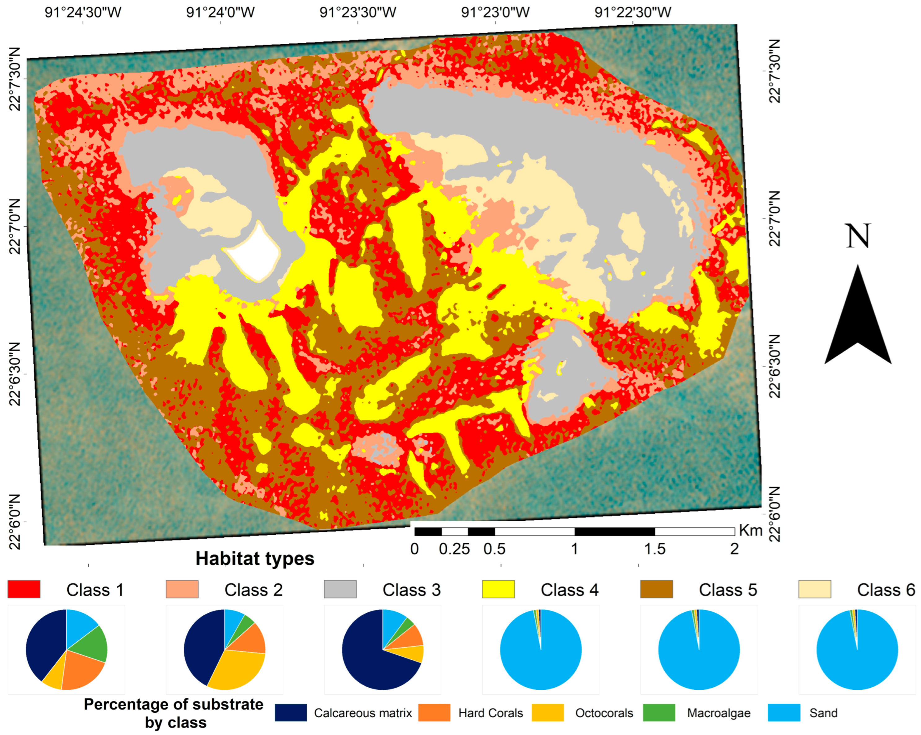 Diversity 17 00708 g003