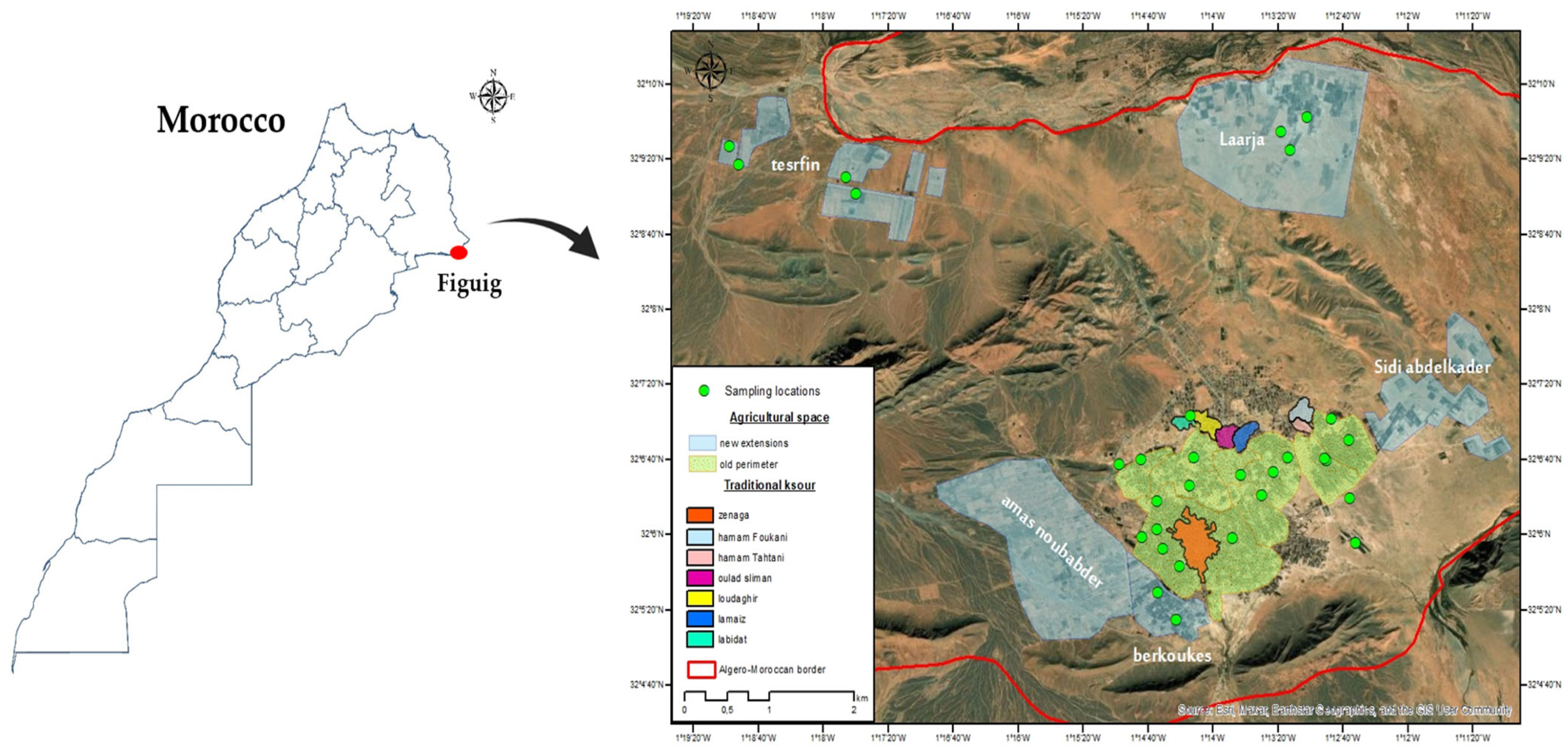 Diversity 17 00710 g001 Diversity 17 00710 g001