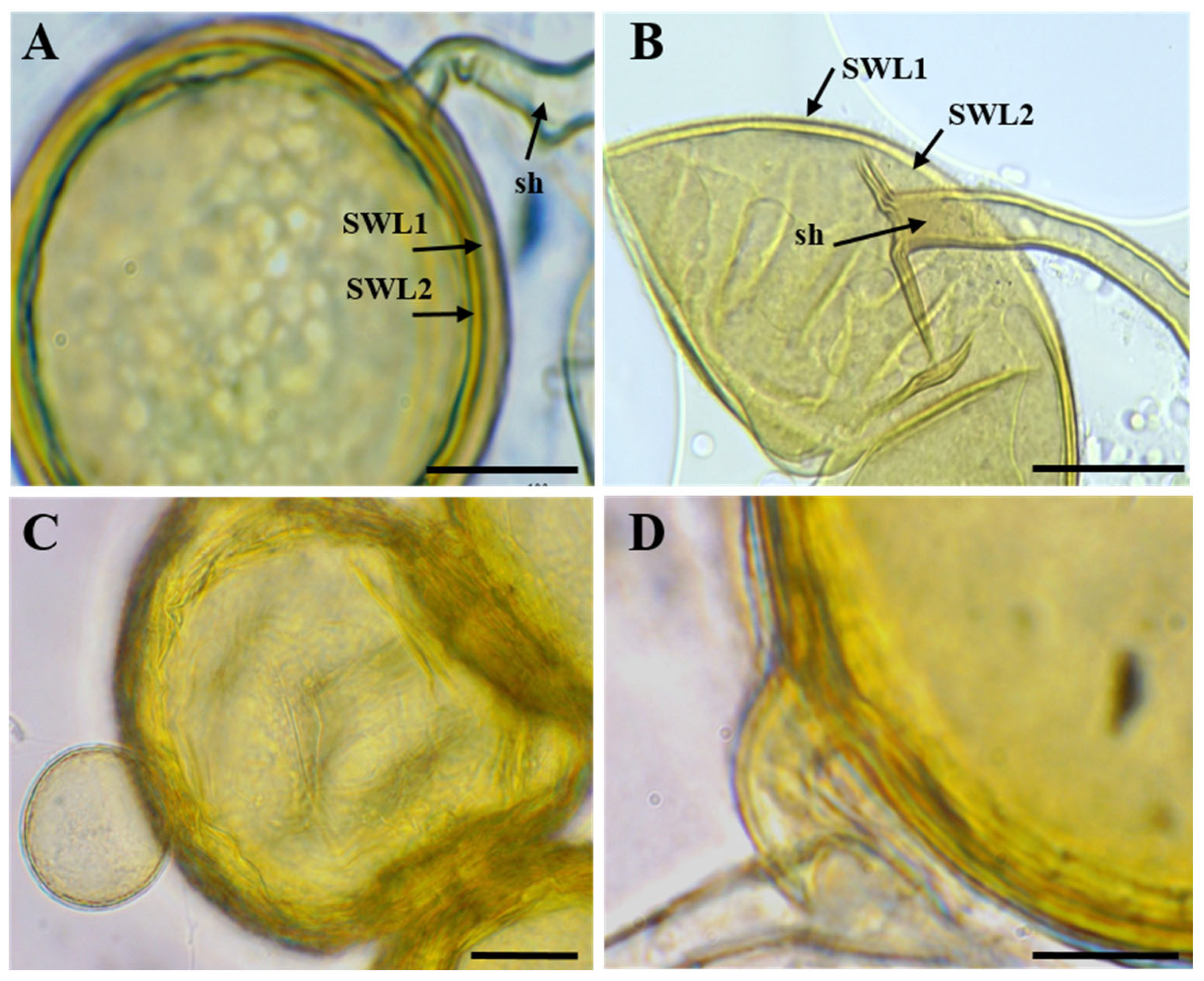 Diversity 17 00710 g007 Diversity 17 00710 g007