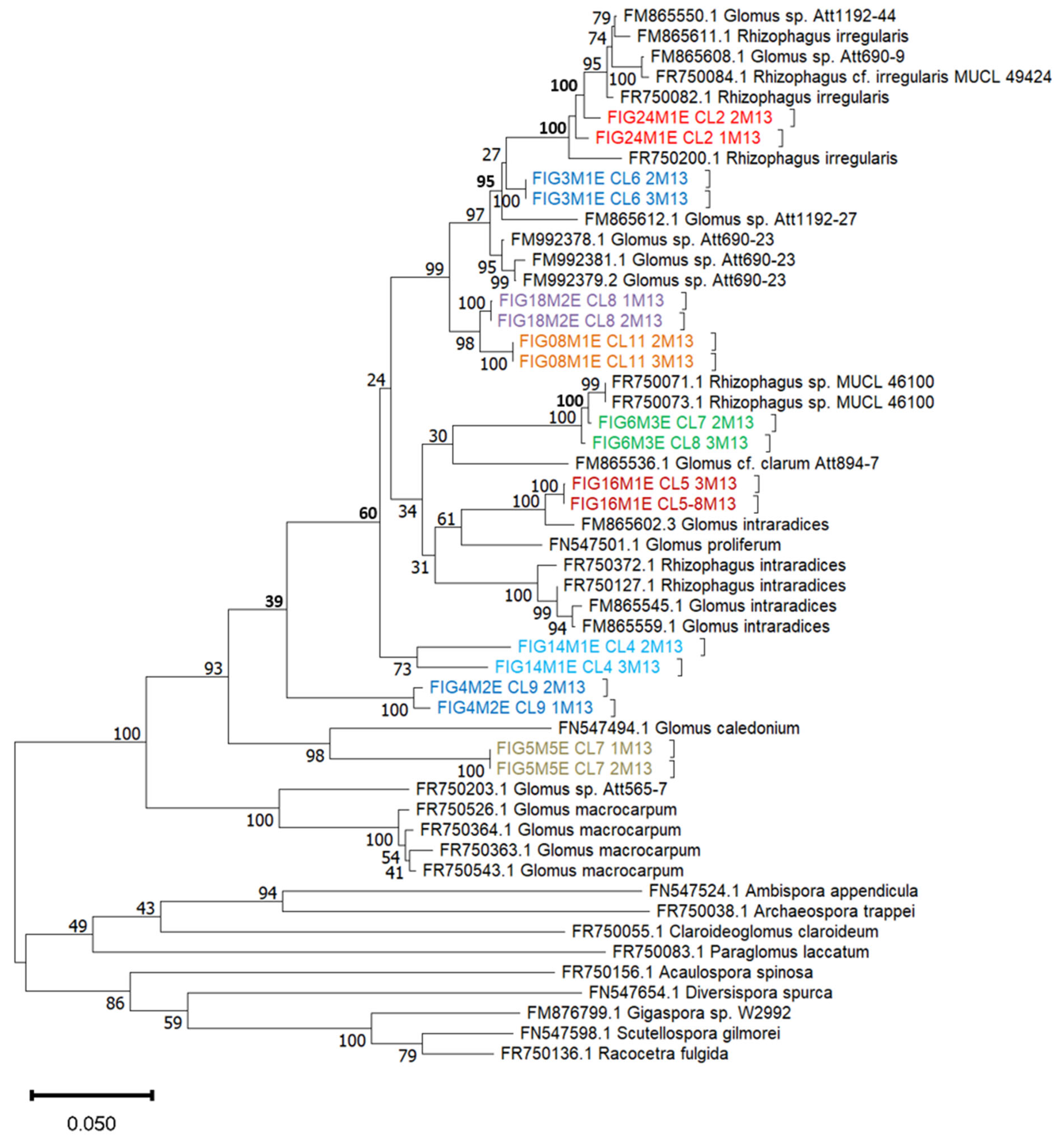 Diversity 17 00710 g008 Diversity 17 00710 g008