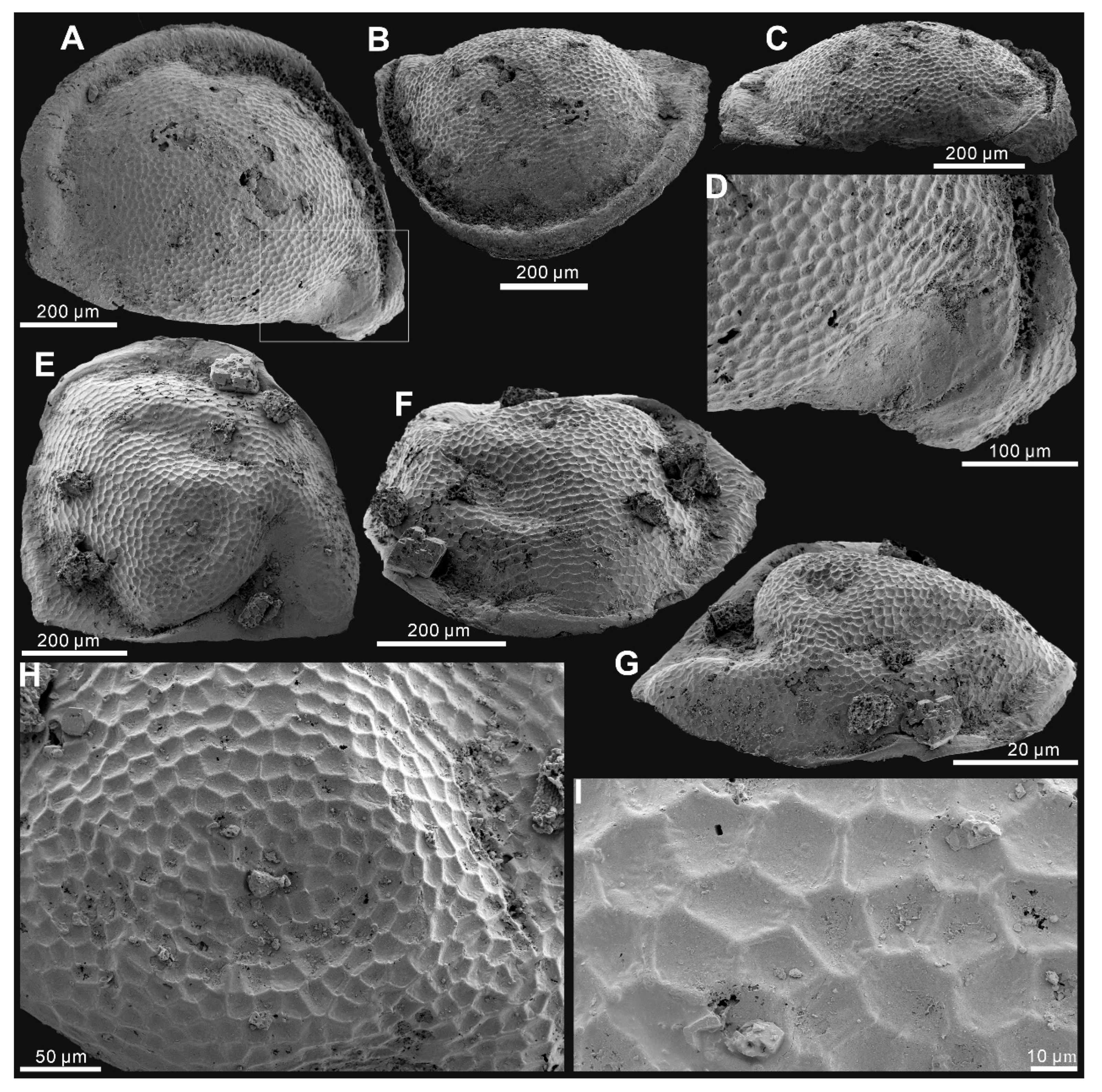 Diversity 17 00719 g002 Diversity 17 00719 g002