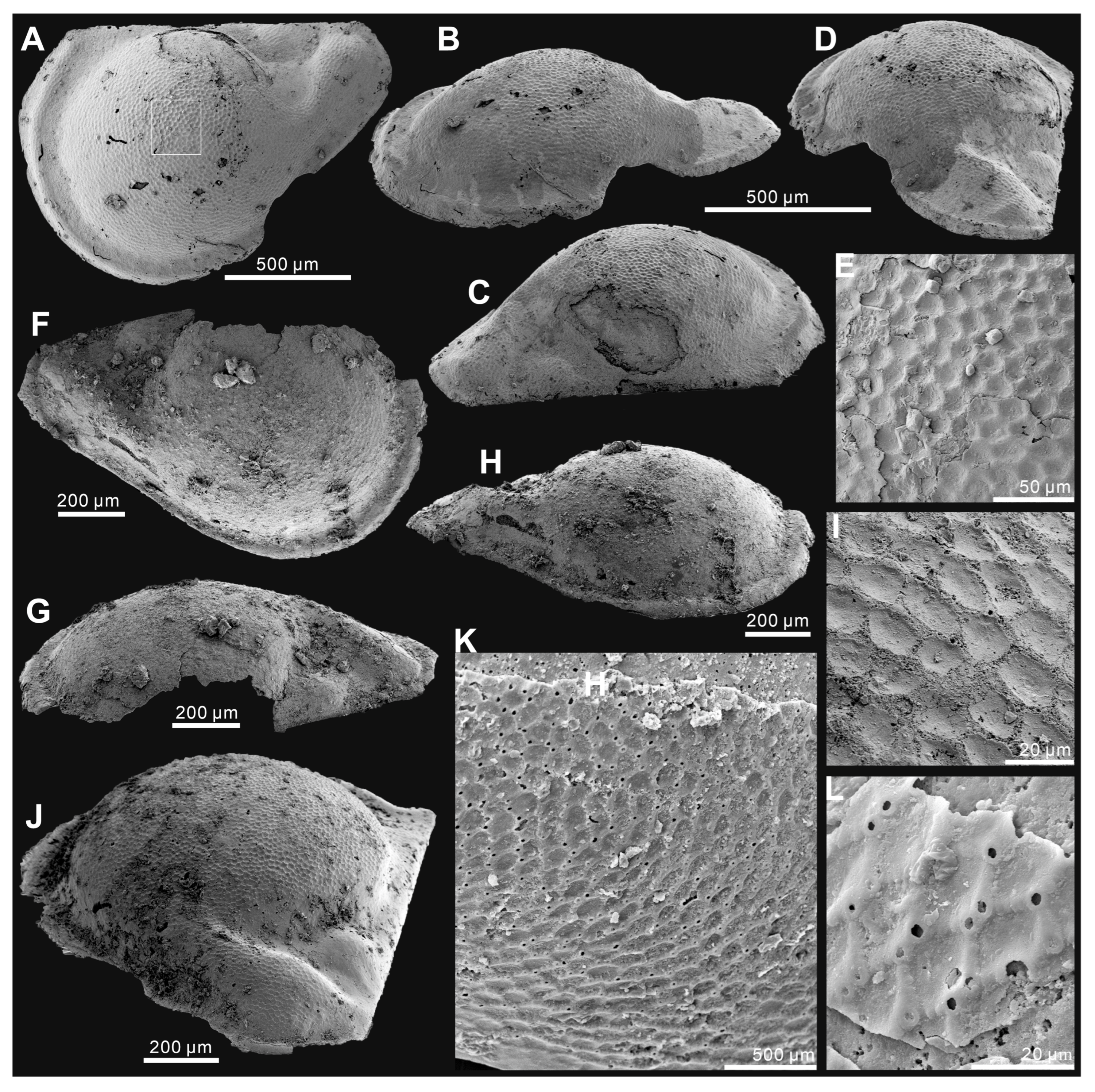 Diversity 17 00719 g003 Diversity 17 00719 g003