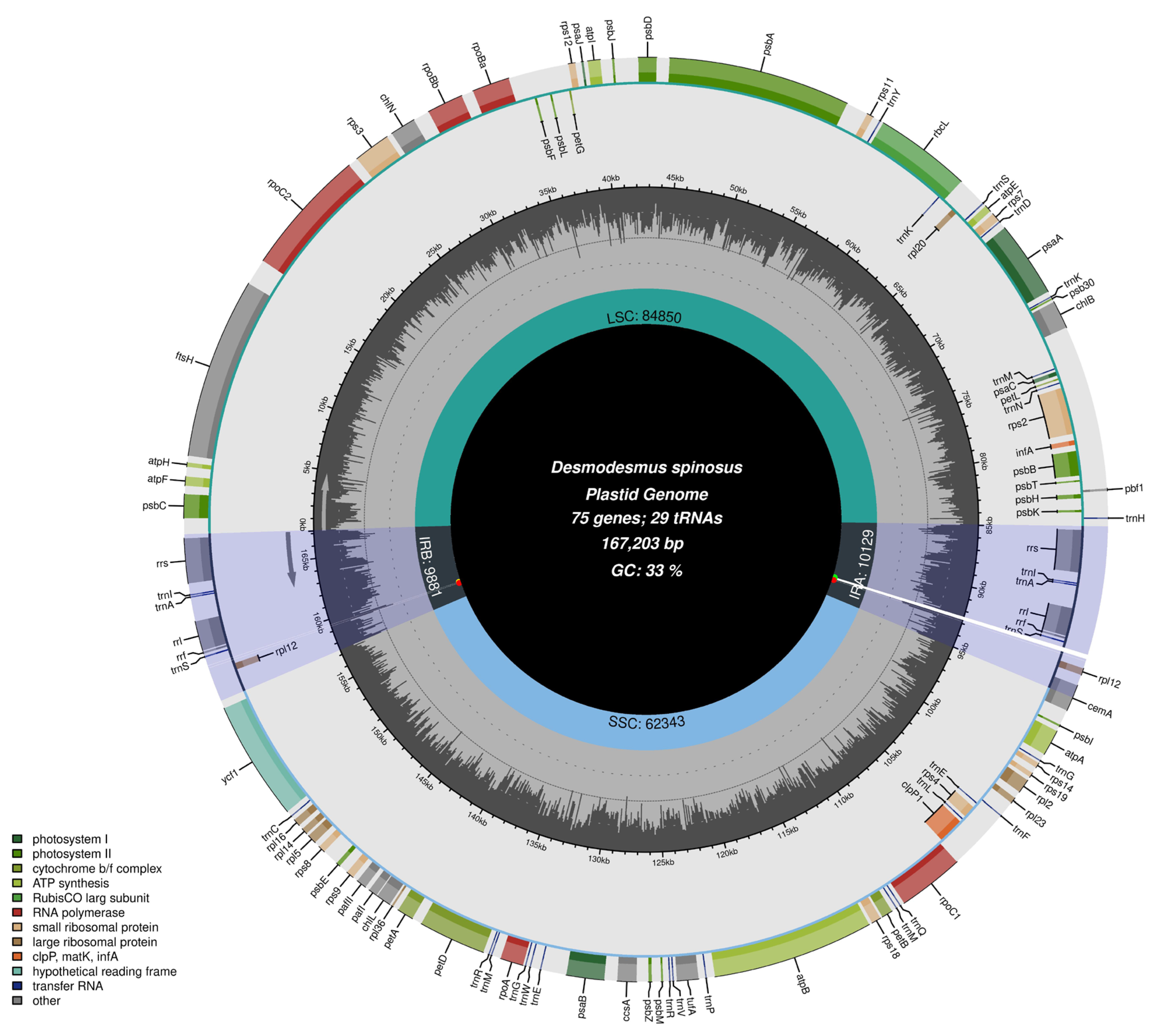 Diversity 17 00721 g002 Diversity 17 00721 g002