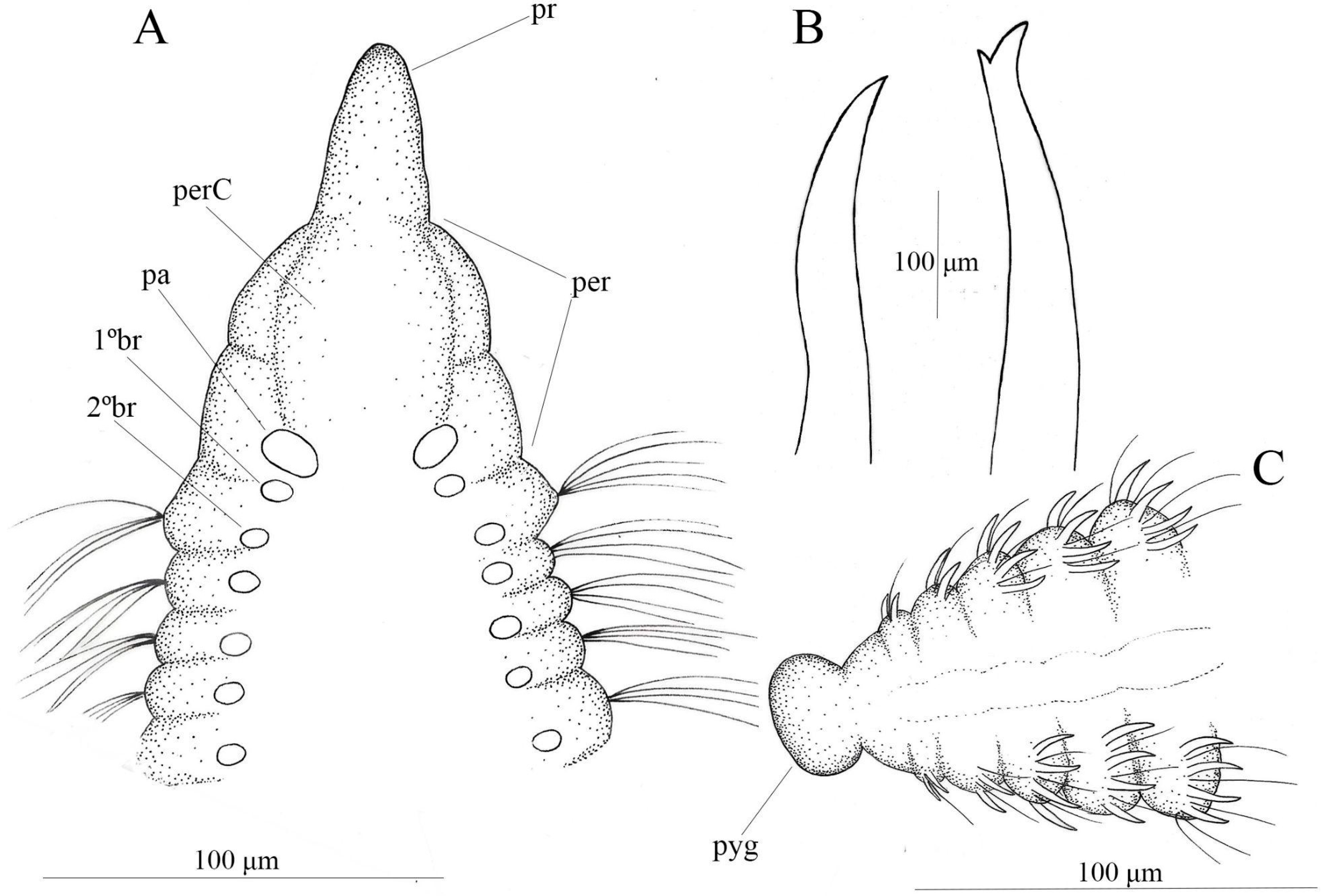 Diversity 17 00724 g003 Diversity 17 00724 g003