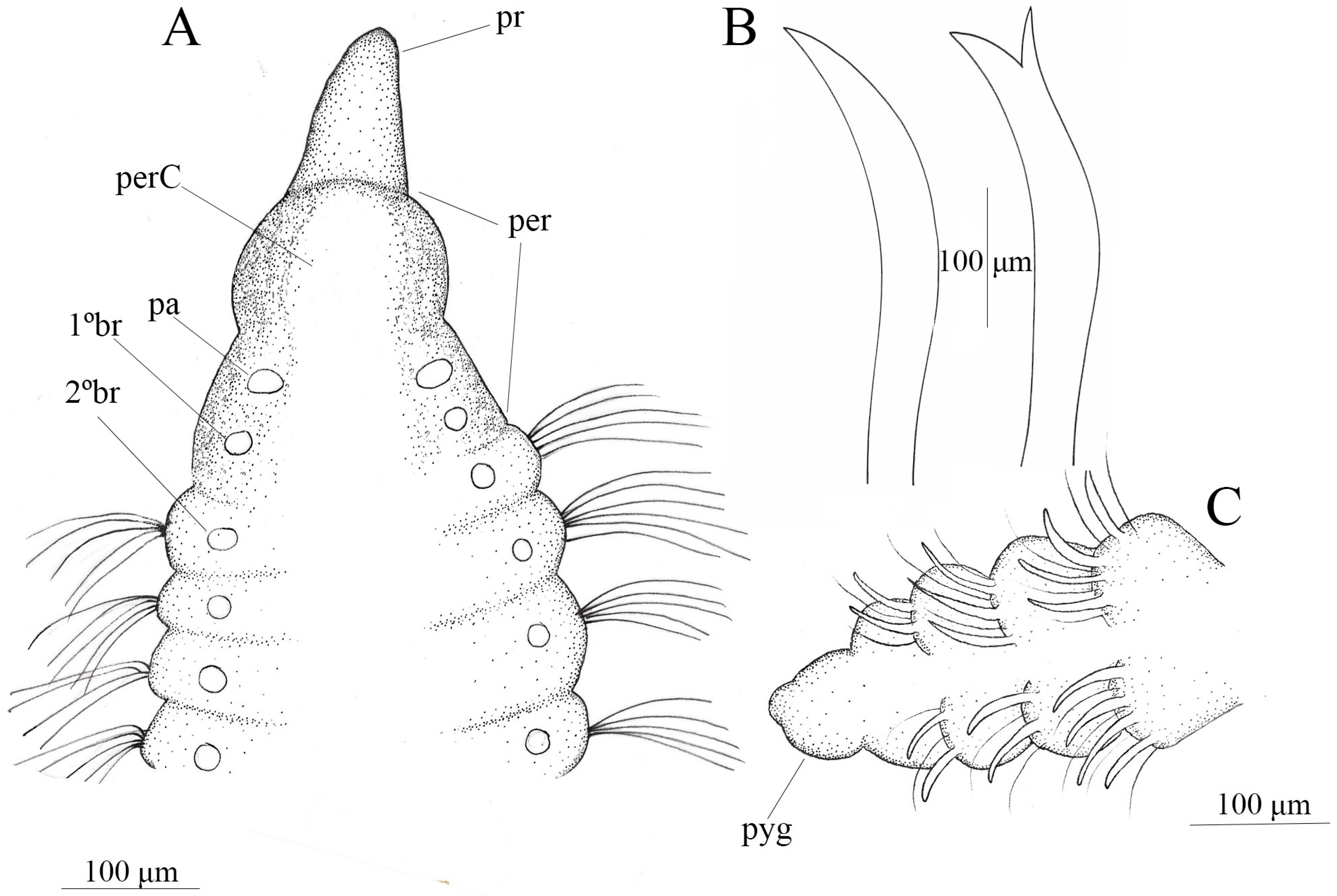 Diversity 17 00724 g006 Diversity 17 00724 g006