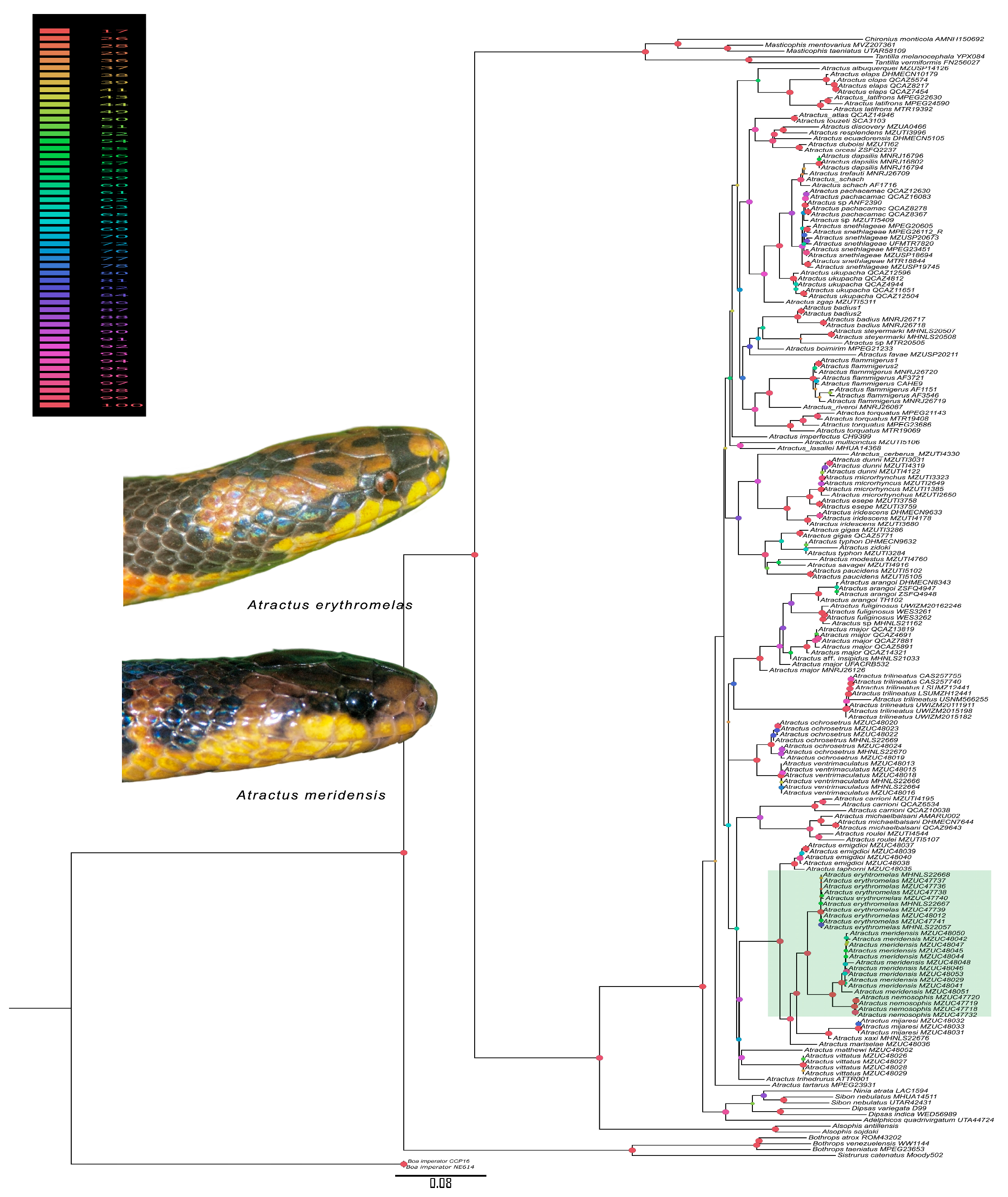 Diversity 17 00725 g001