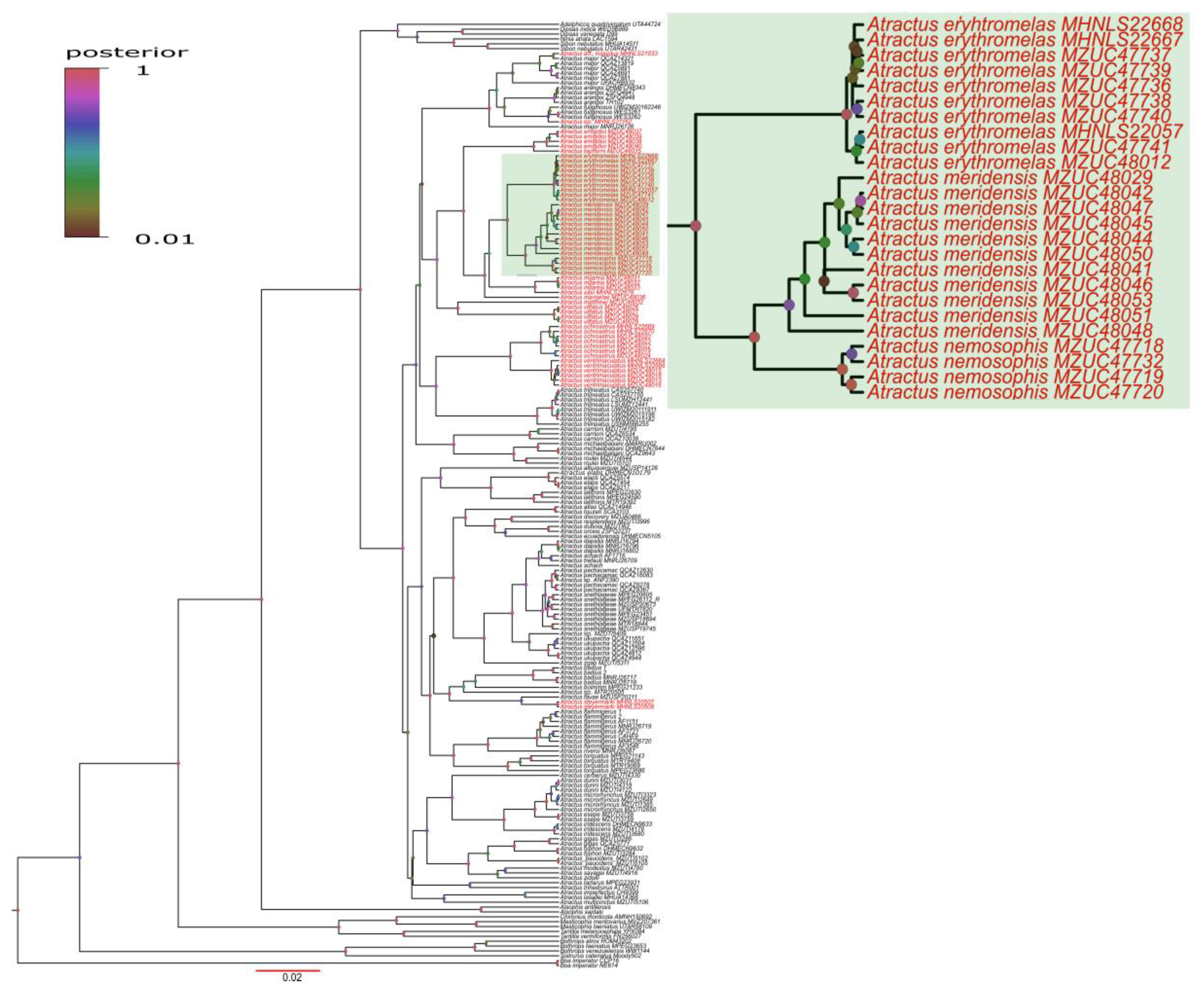 Diversity 17 00725 g002