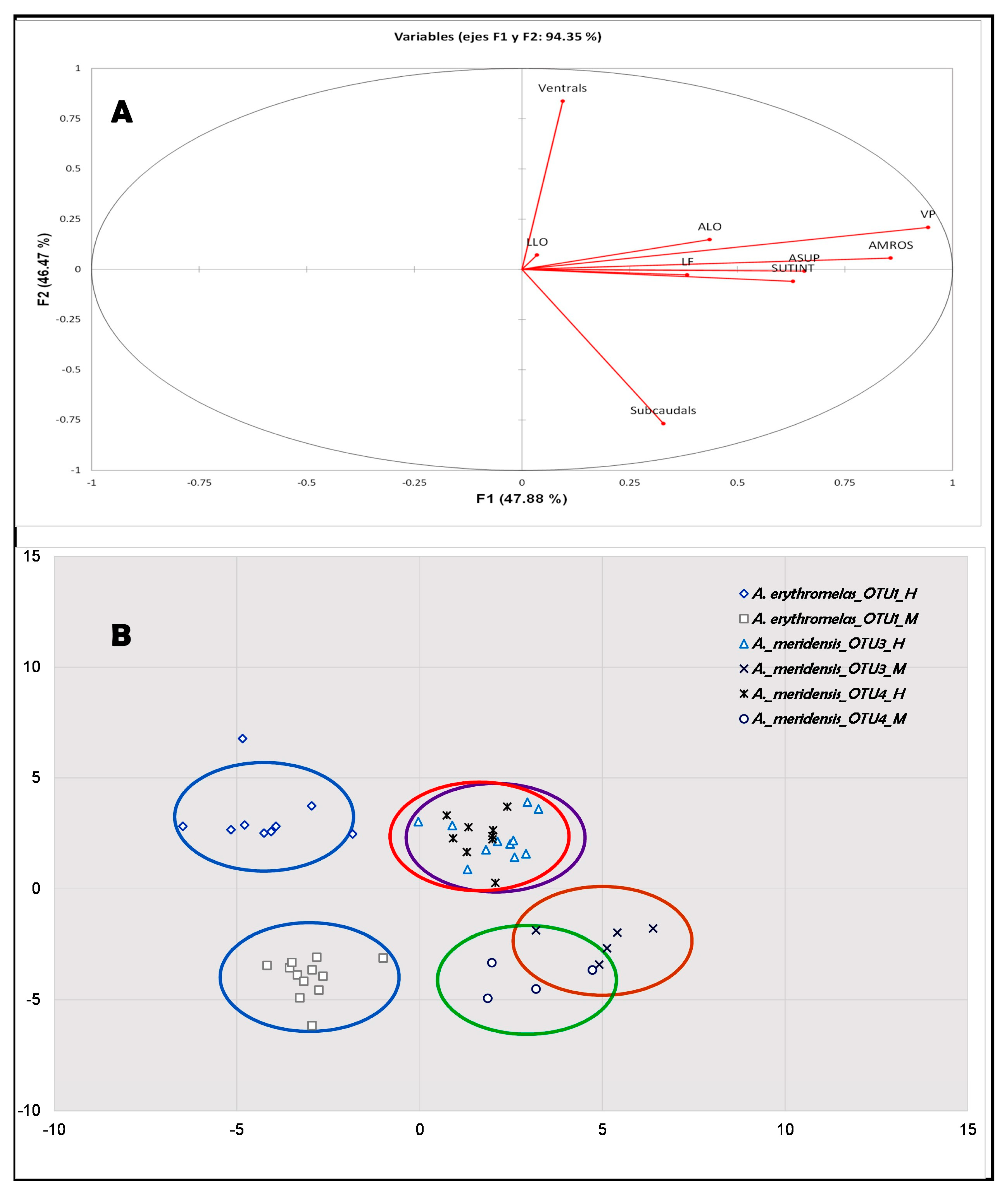 Diversity 17 00725 g005