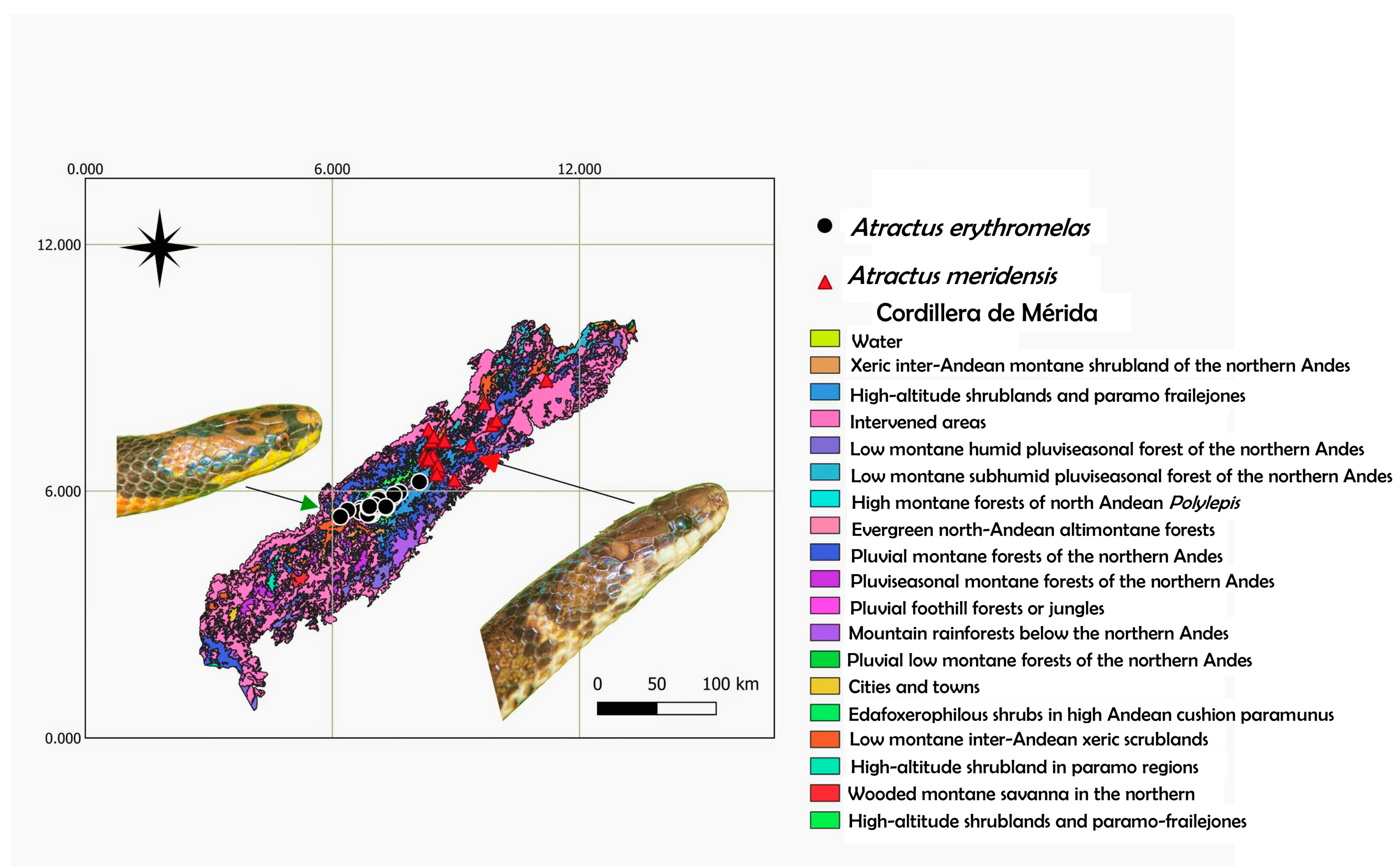Diversity 17 00725 g011
