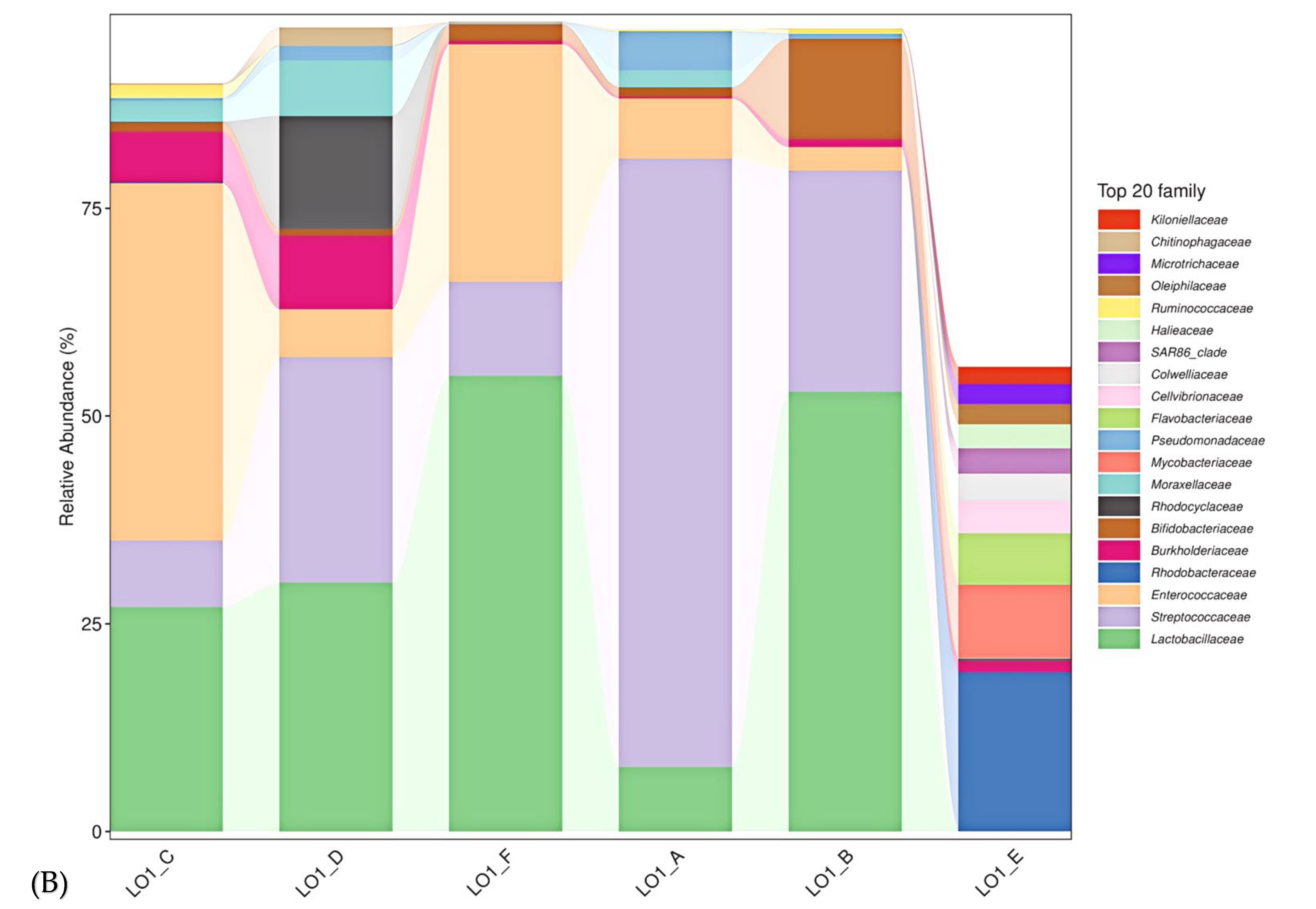 Diversity 17 00727 g001b Diversity 17 00727 g001b