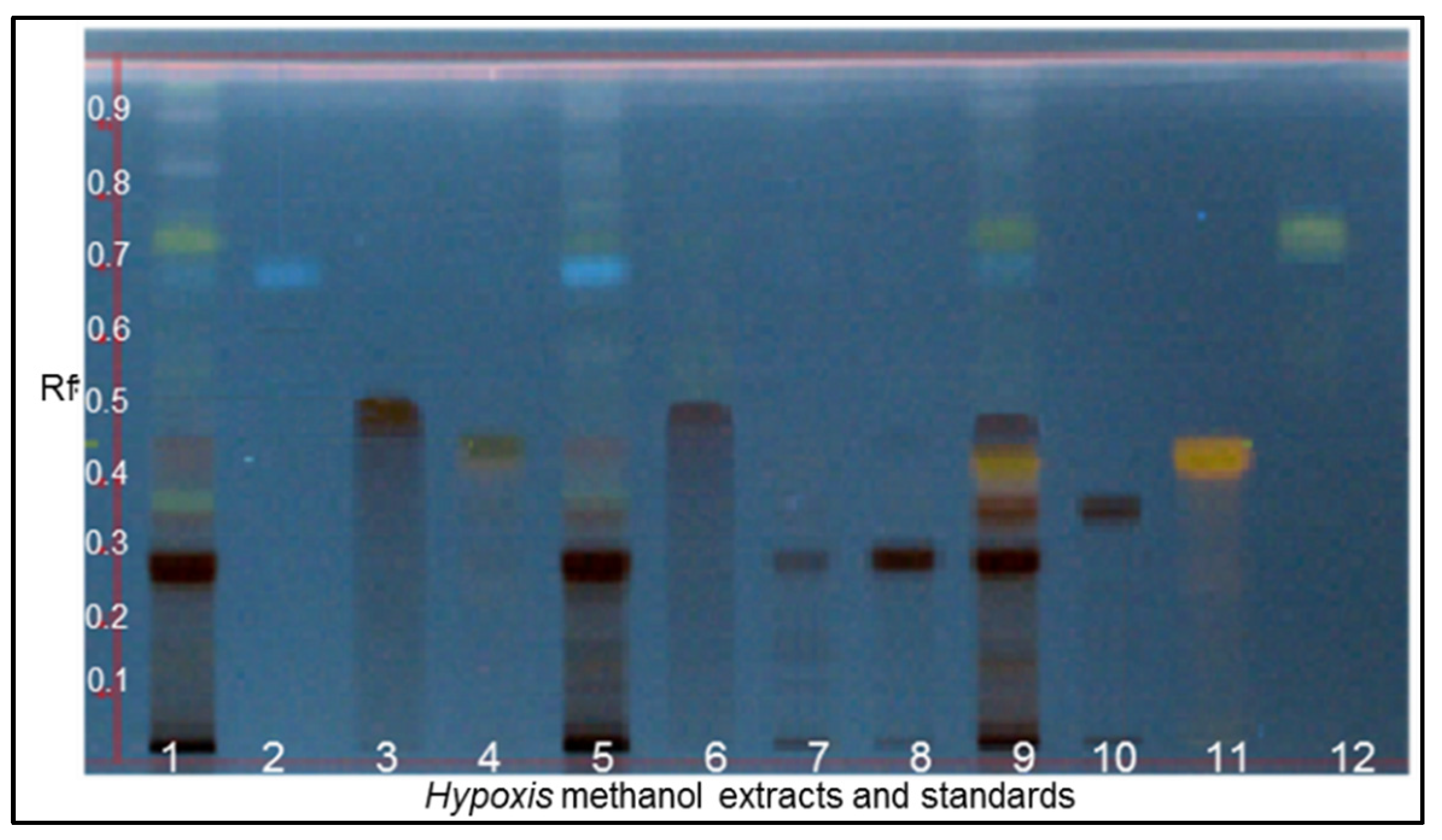 Diversity 17 00729 g001