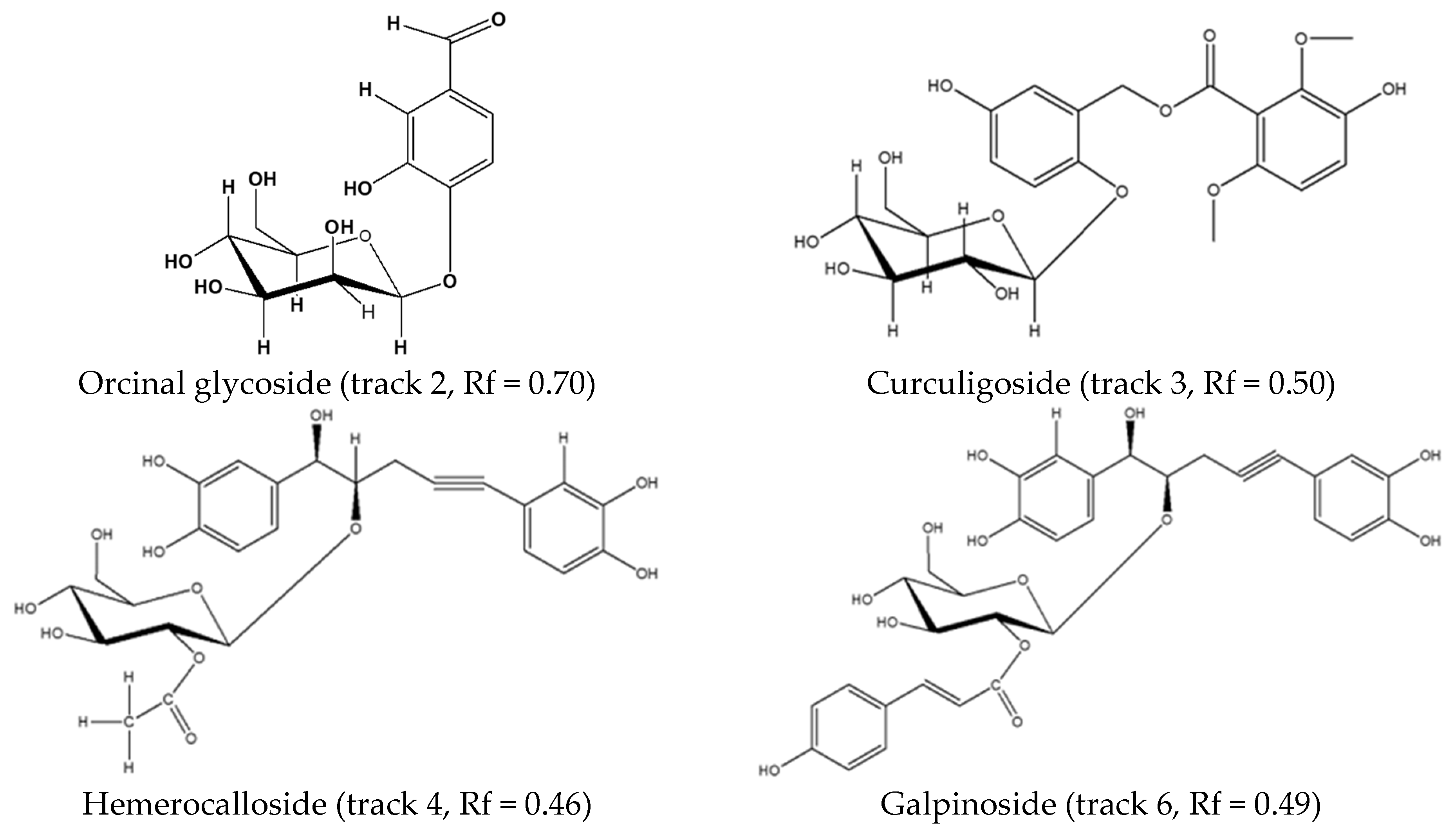 Diversity 17 00729 g002a
