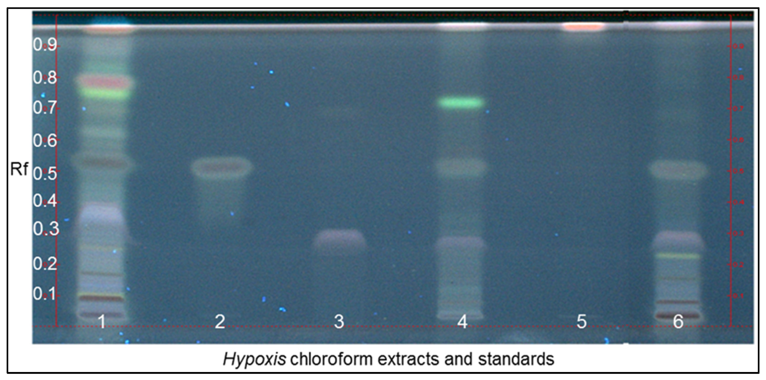 Diversity 17 00729 g003