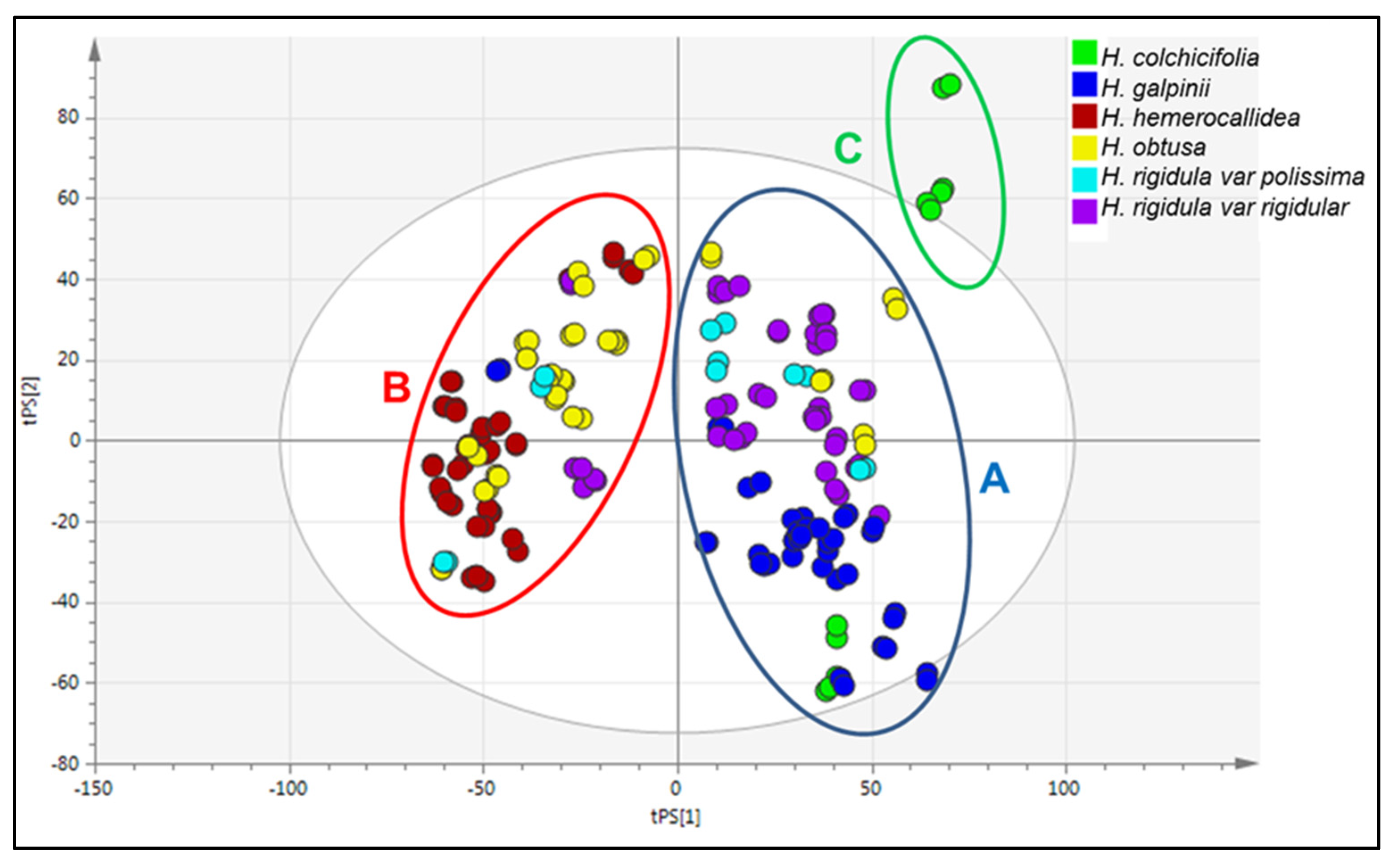Diversity 17 00729 g009