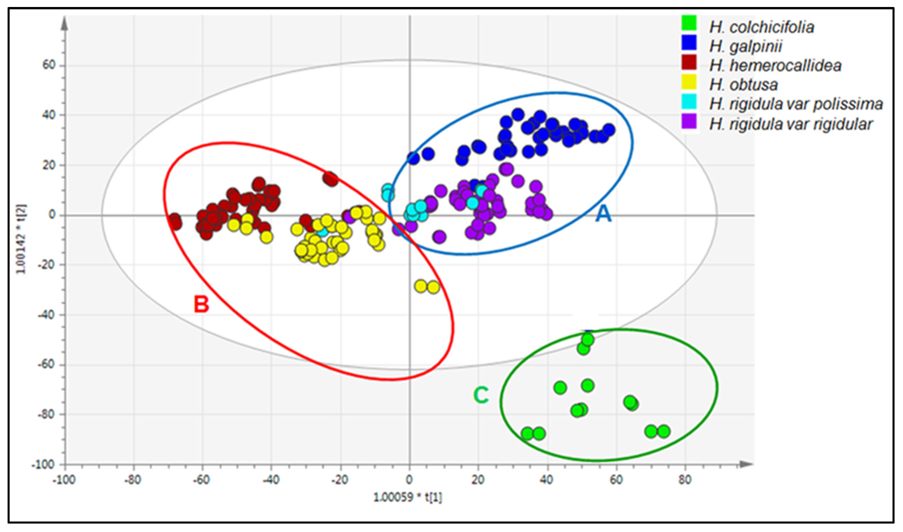 Diversity 17 00729 g010