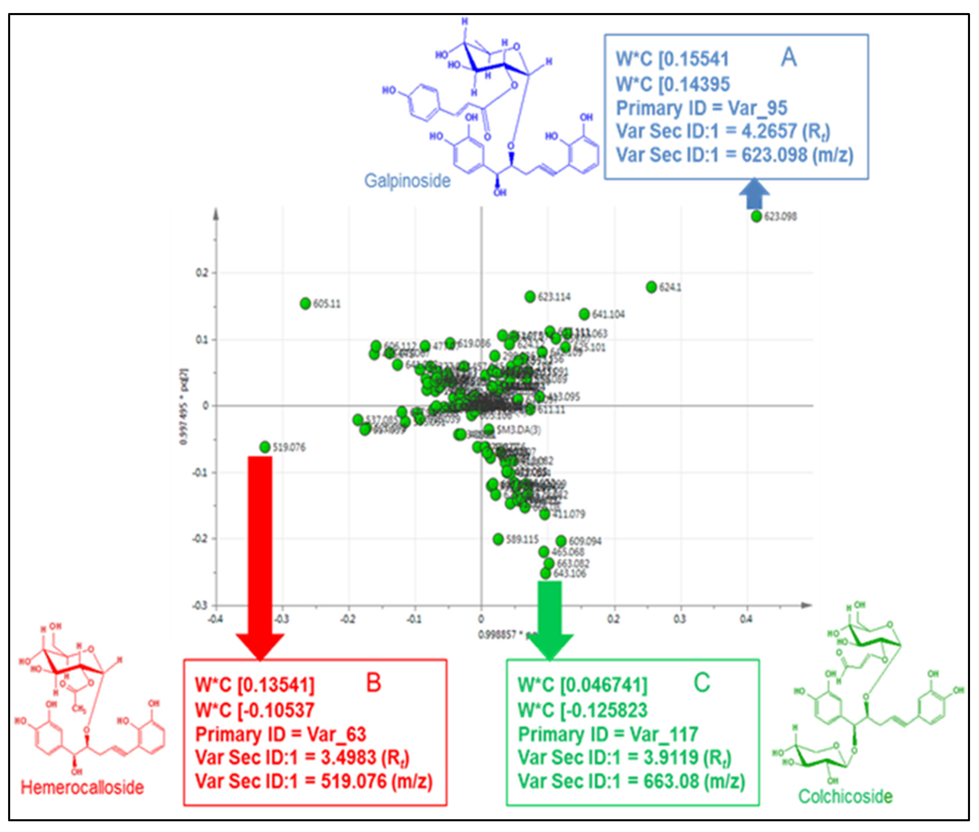 Diversity 17 00729 g012