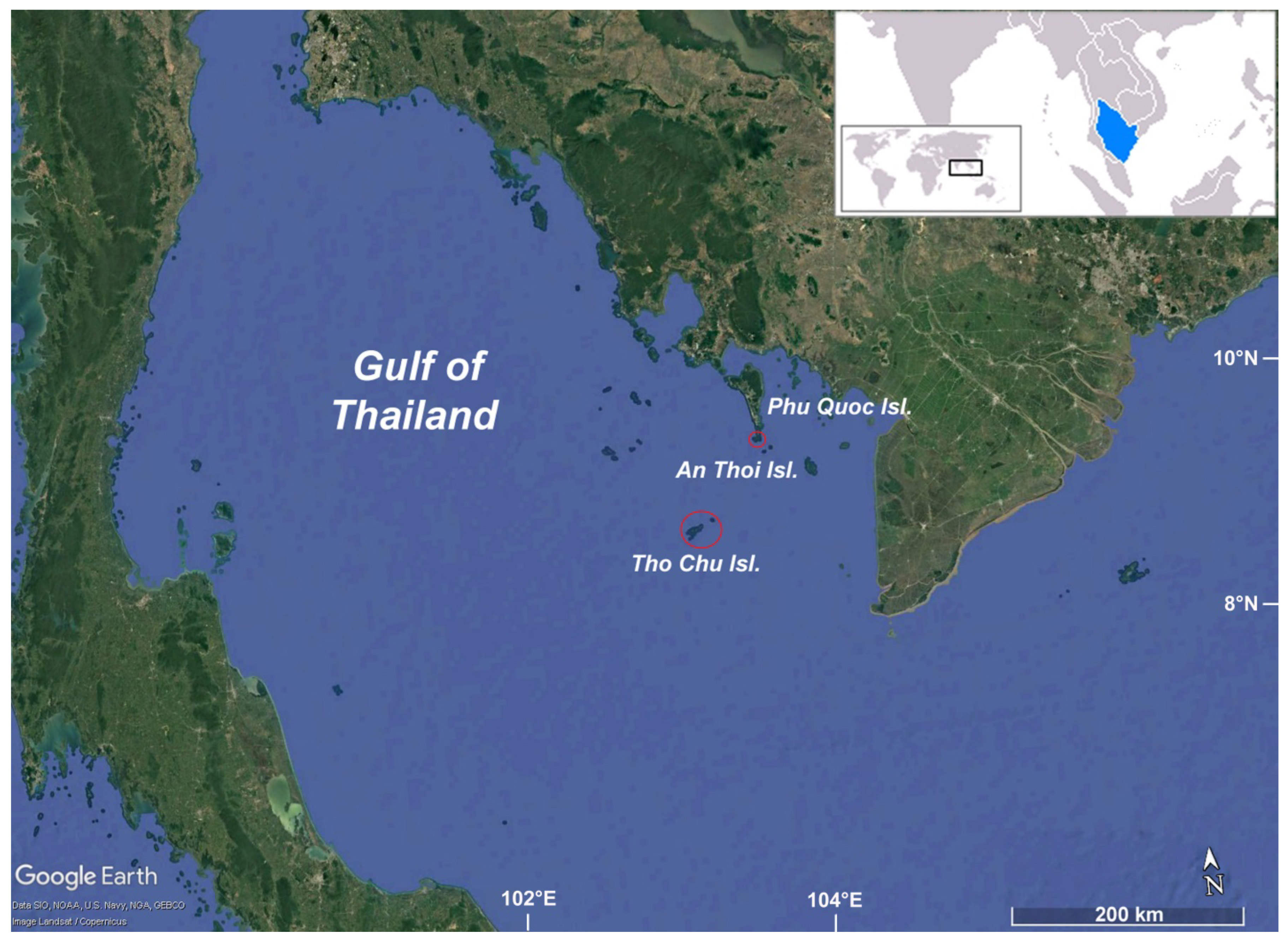 Diversity 17 00743 g001 Diversity 17 00743 g001