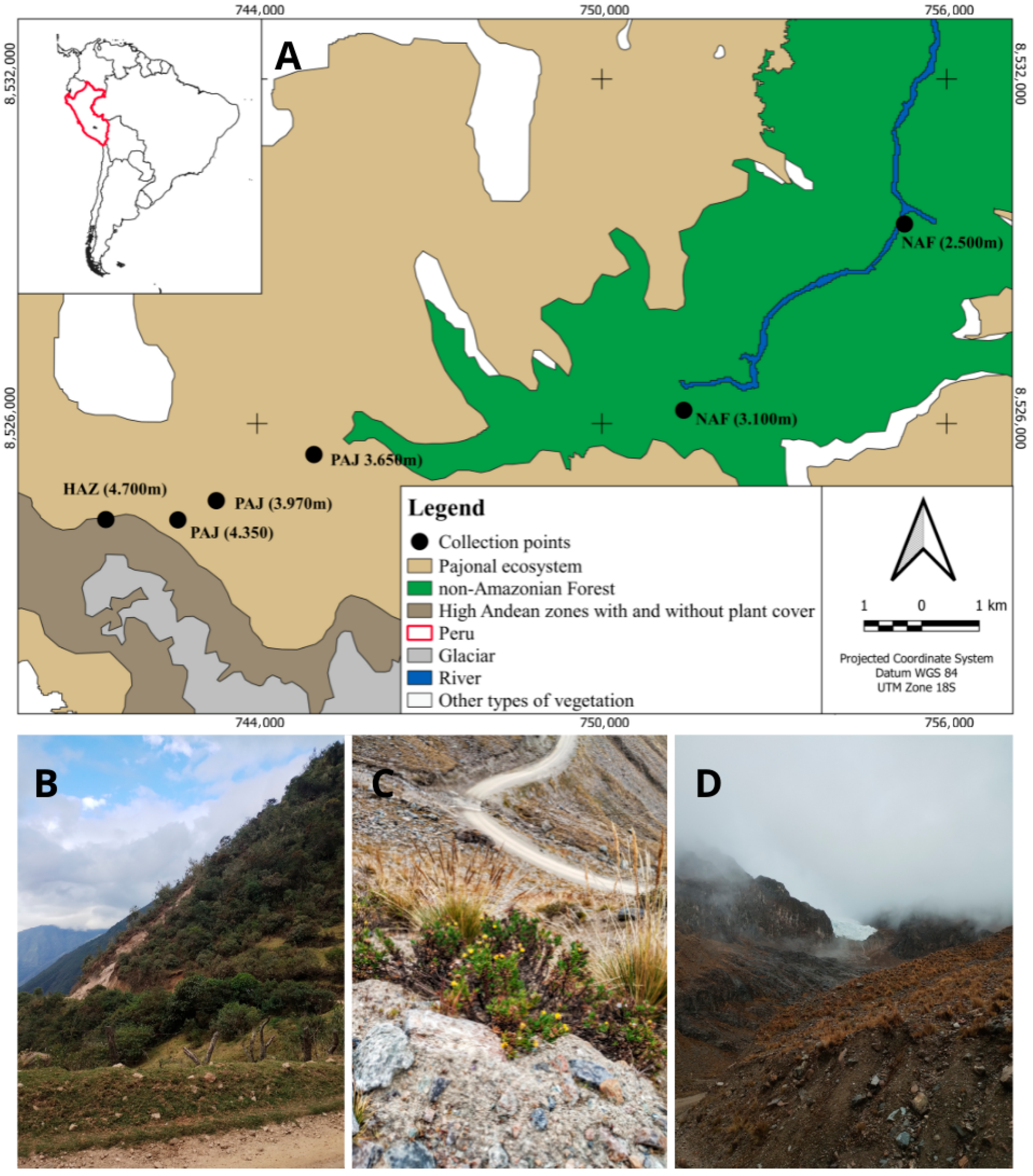 Diversity 17 00745 g001