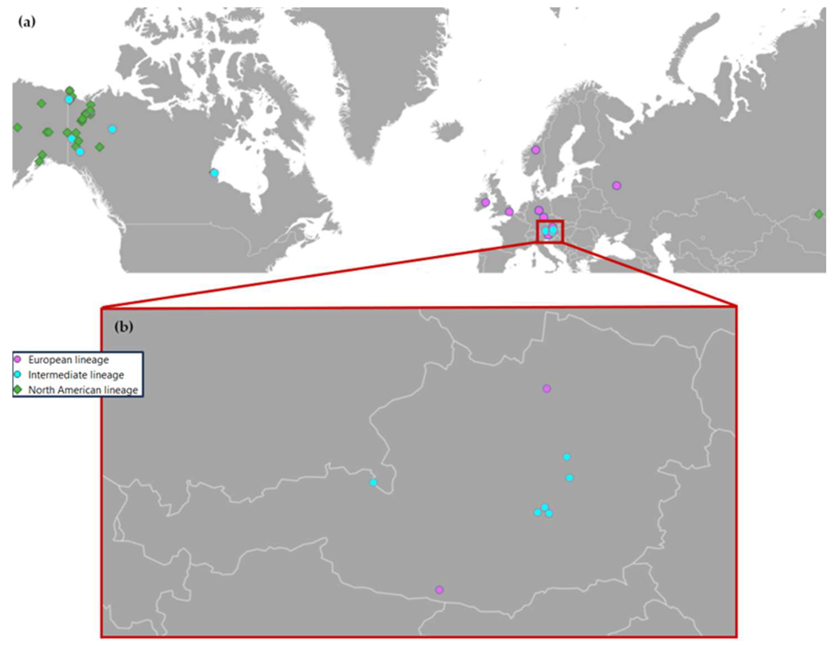 Diversity 17 00746 g004 Diversity 17 00746 g004