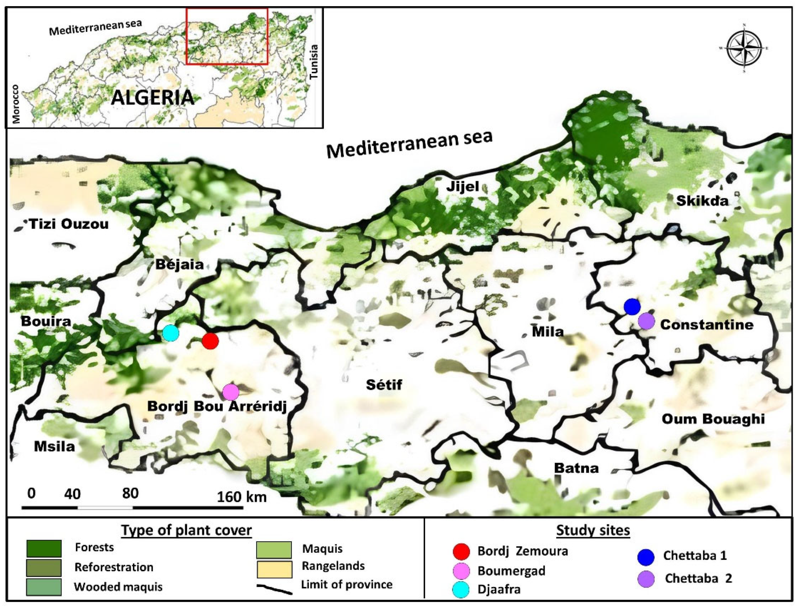Diversity 17 00750 g001 Diversity 17 00750 g001